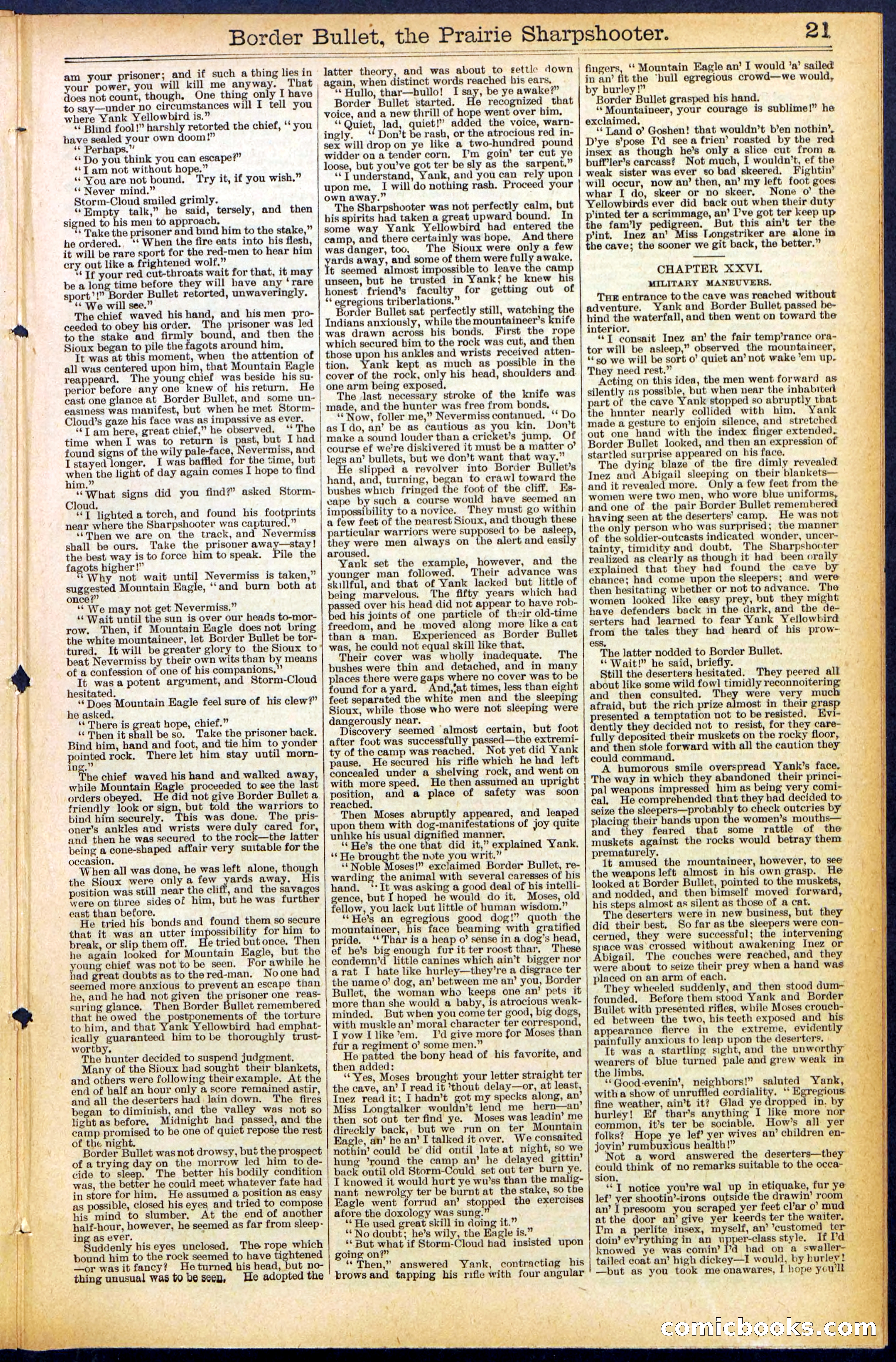 Beadle's New York Dime Library No. 492 — page 21 of 32