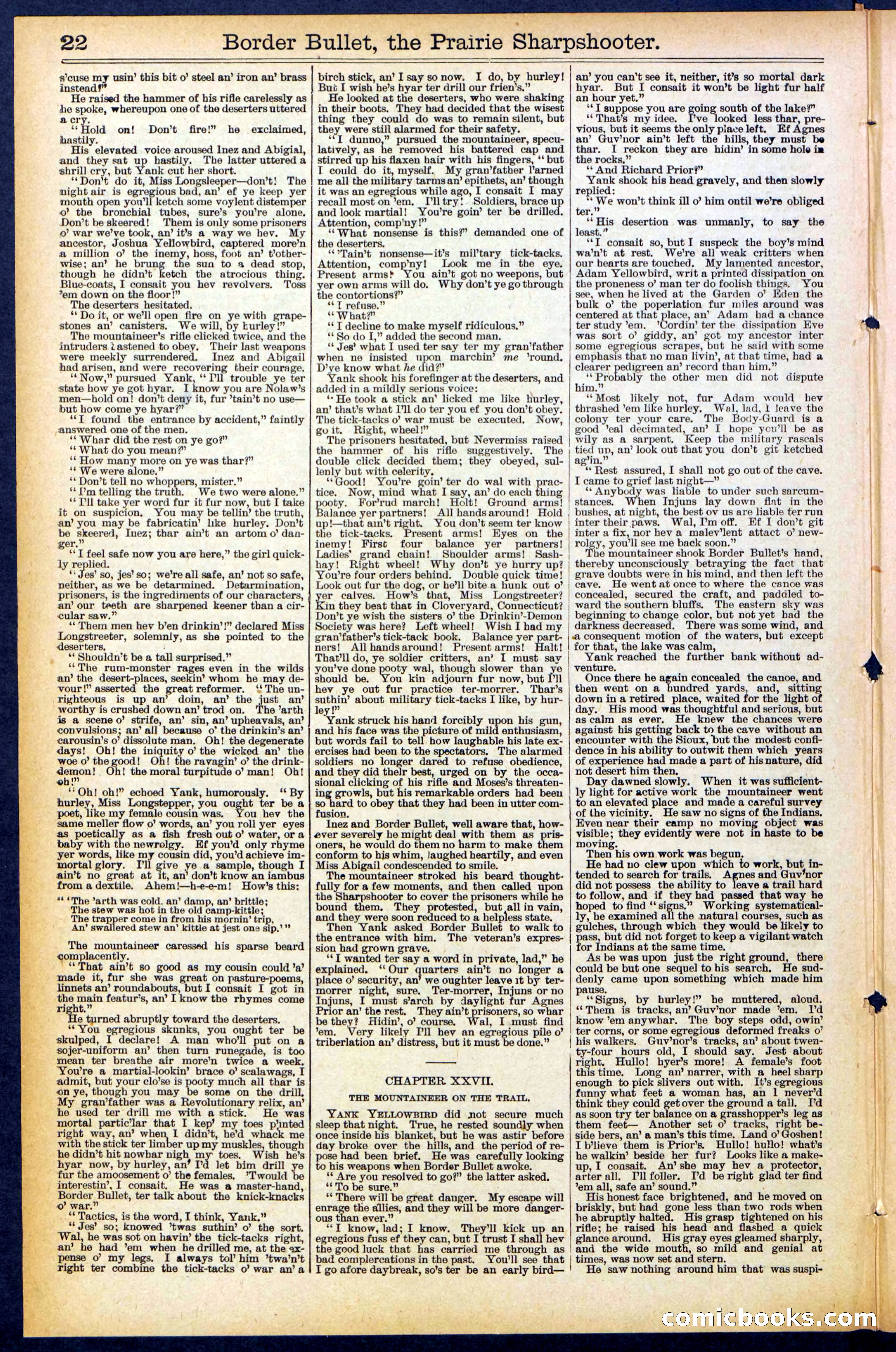 Beadle's New York Dime Library No. 492 — page 22 of 32