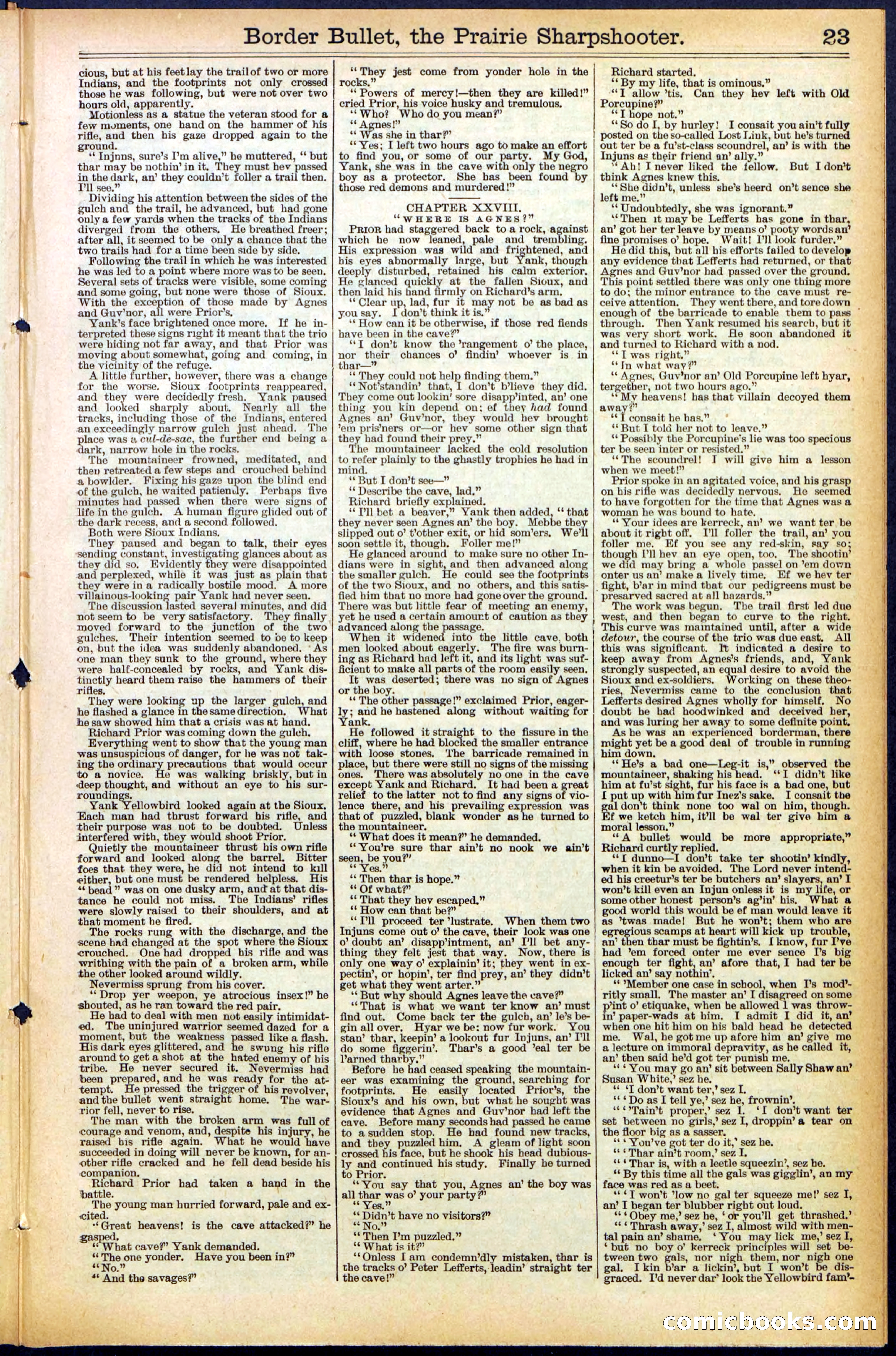 Beadle's New York Dime Library No. 492 — page 23 of 32