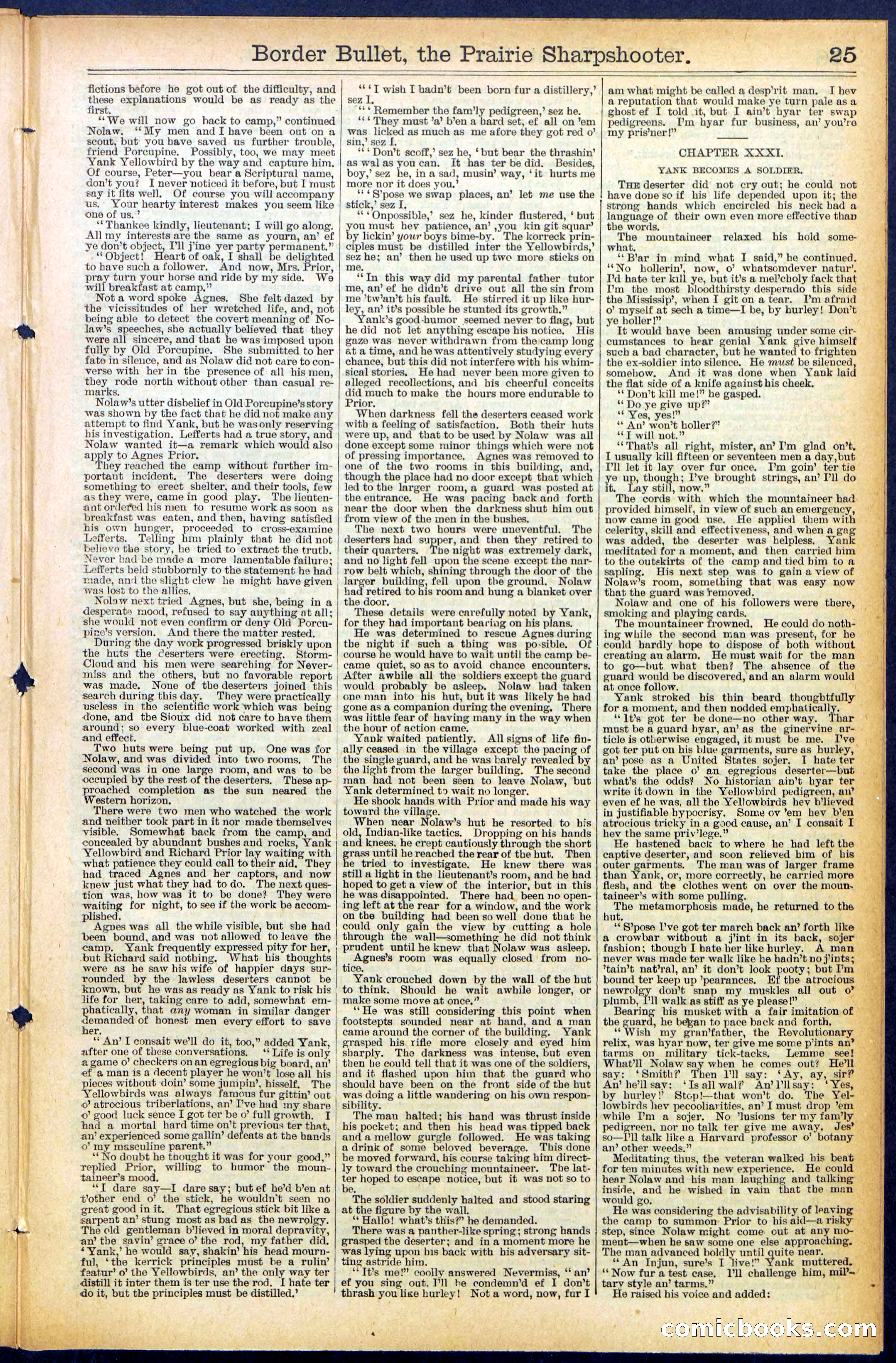 Beadle's New York Dime Library No. 492 — page 25 of 32