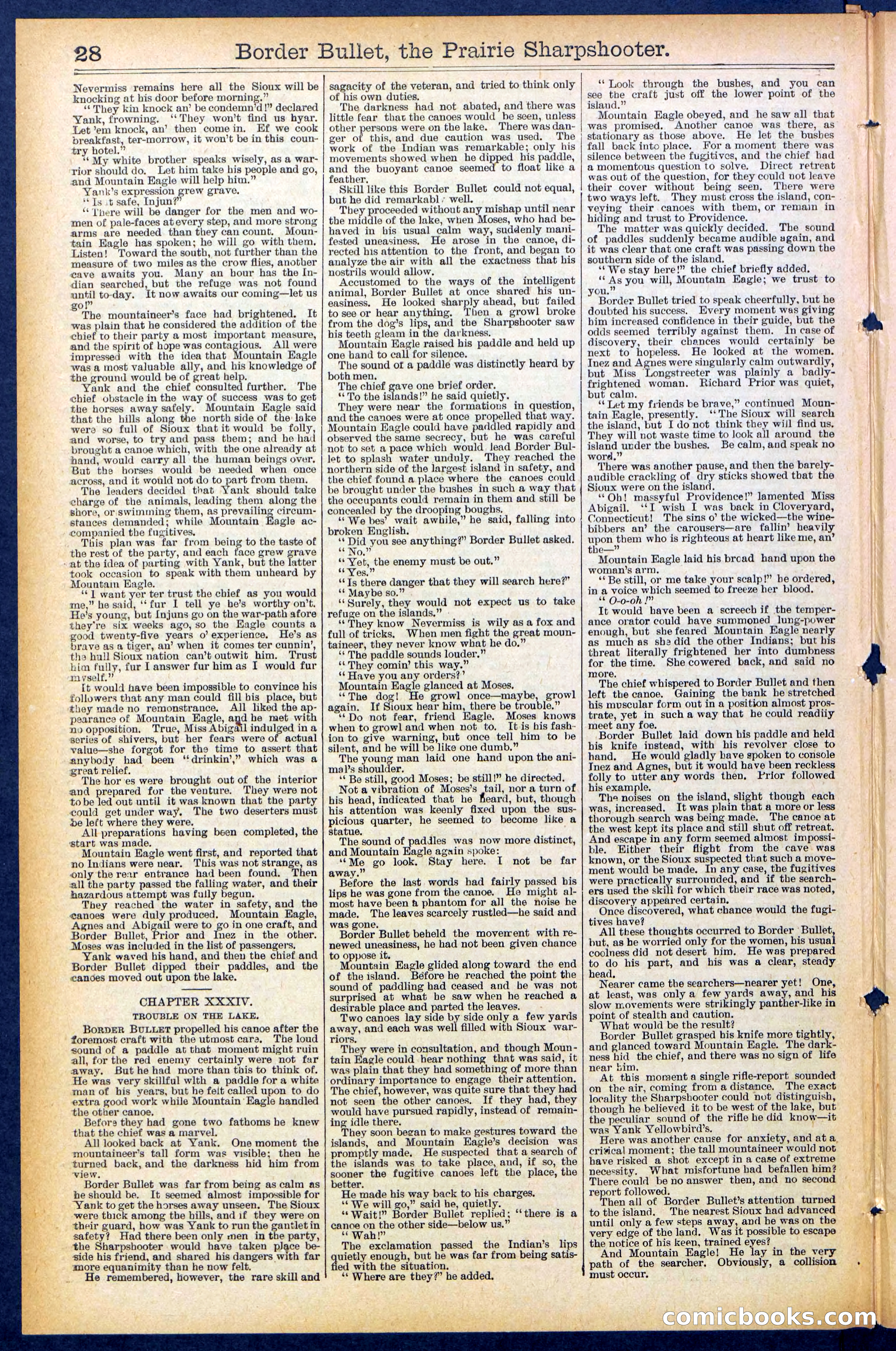 Beadle's New York Dime Library No. 492 — page 28 of 32