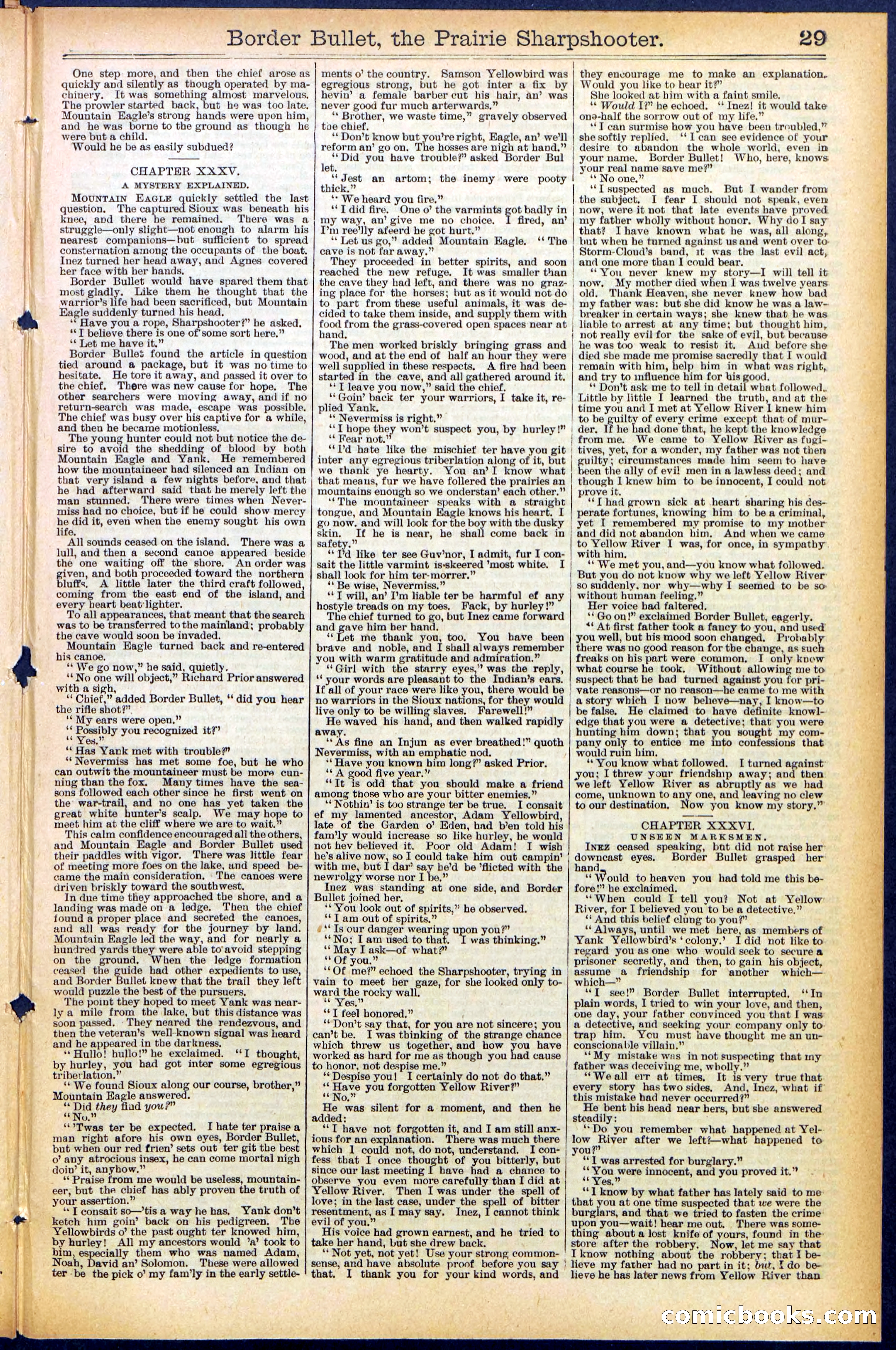 Beadle's New York Dime Library No. 492 — page 29 of 32