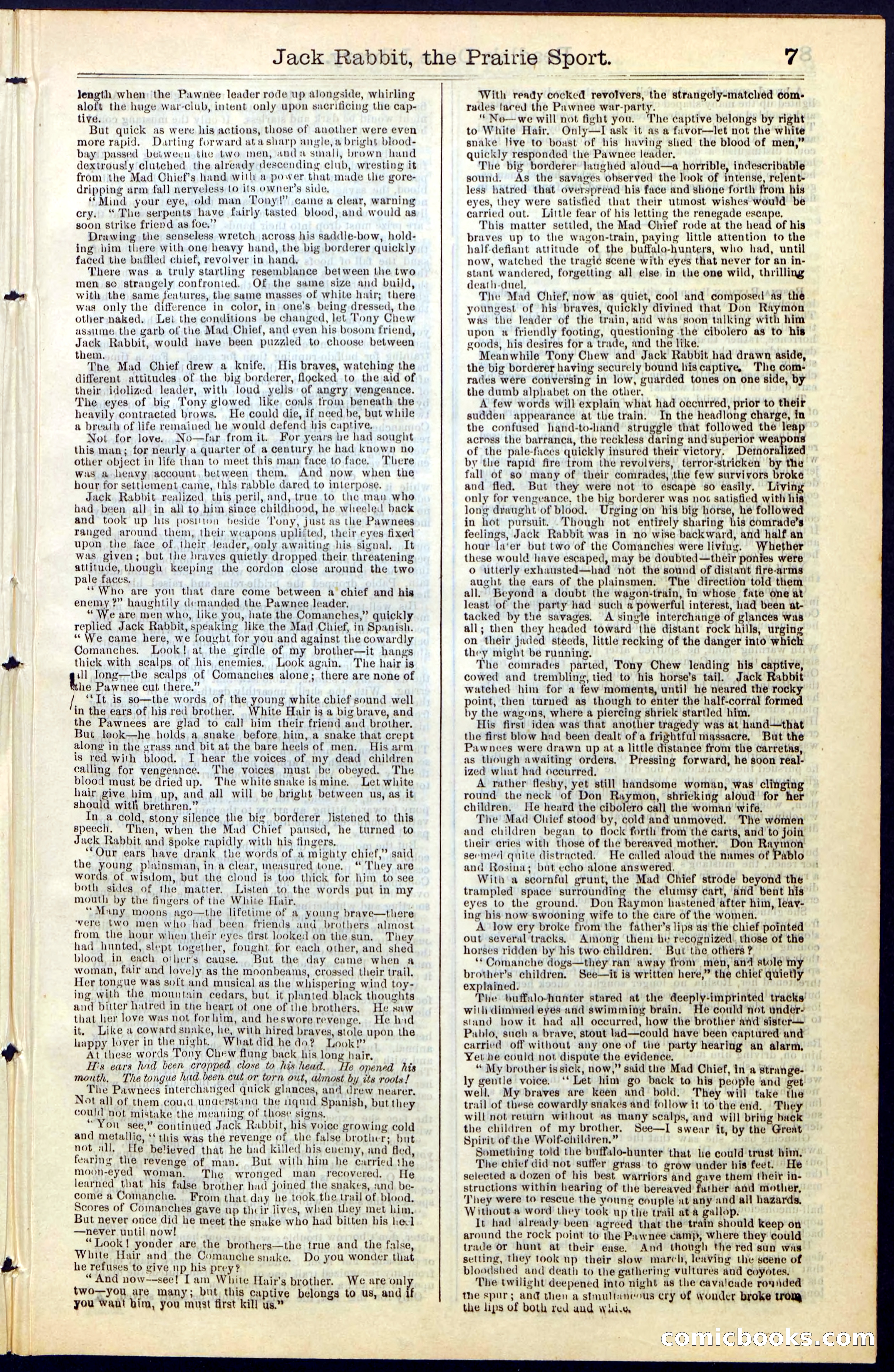 Beadle's New York Dime Library, No. 50 — page 7 of 40