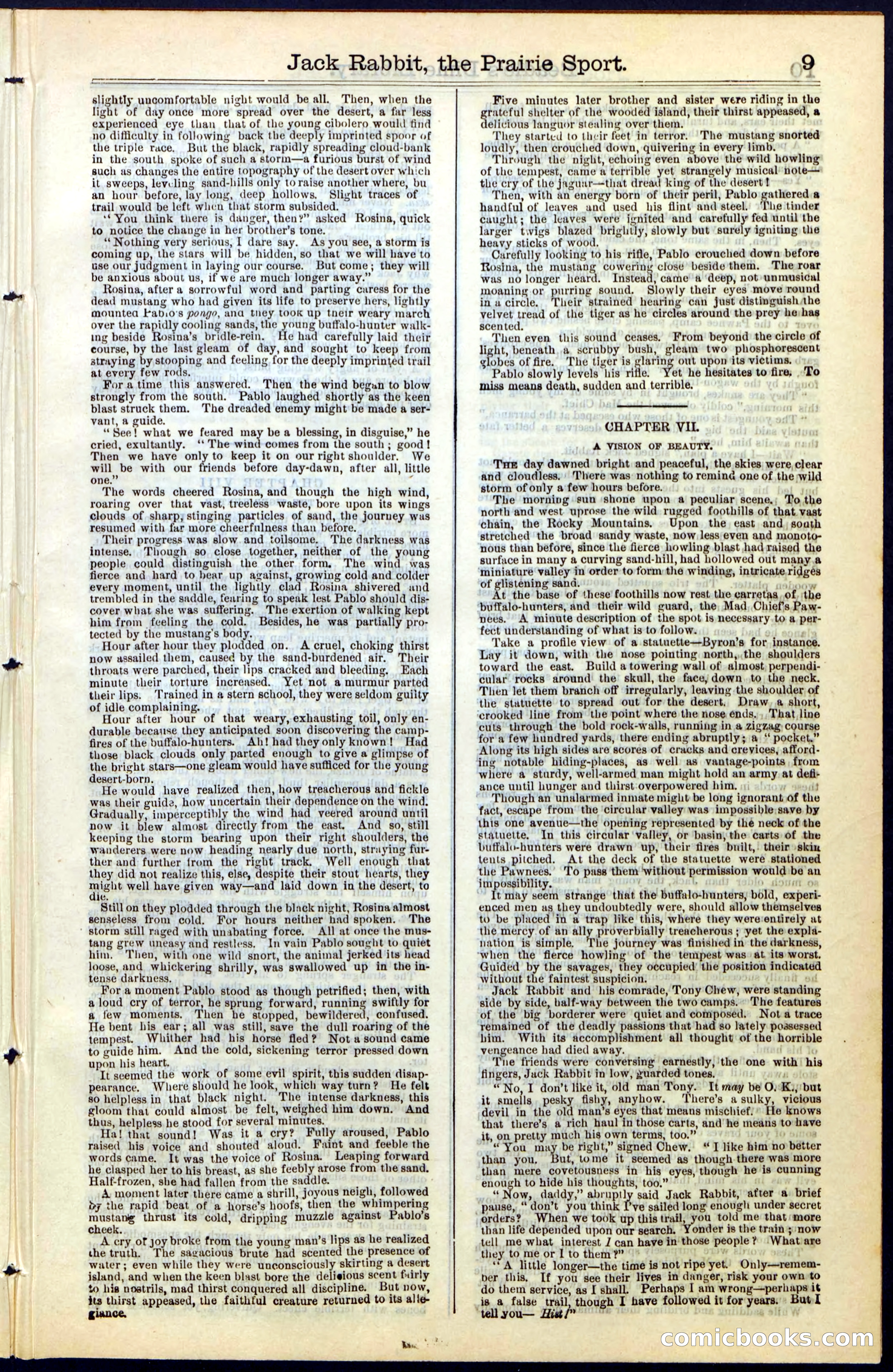 Beadle's New York Dime Library, No. 50 — page 9 of 40