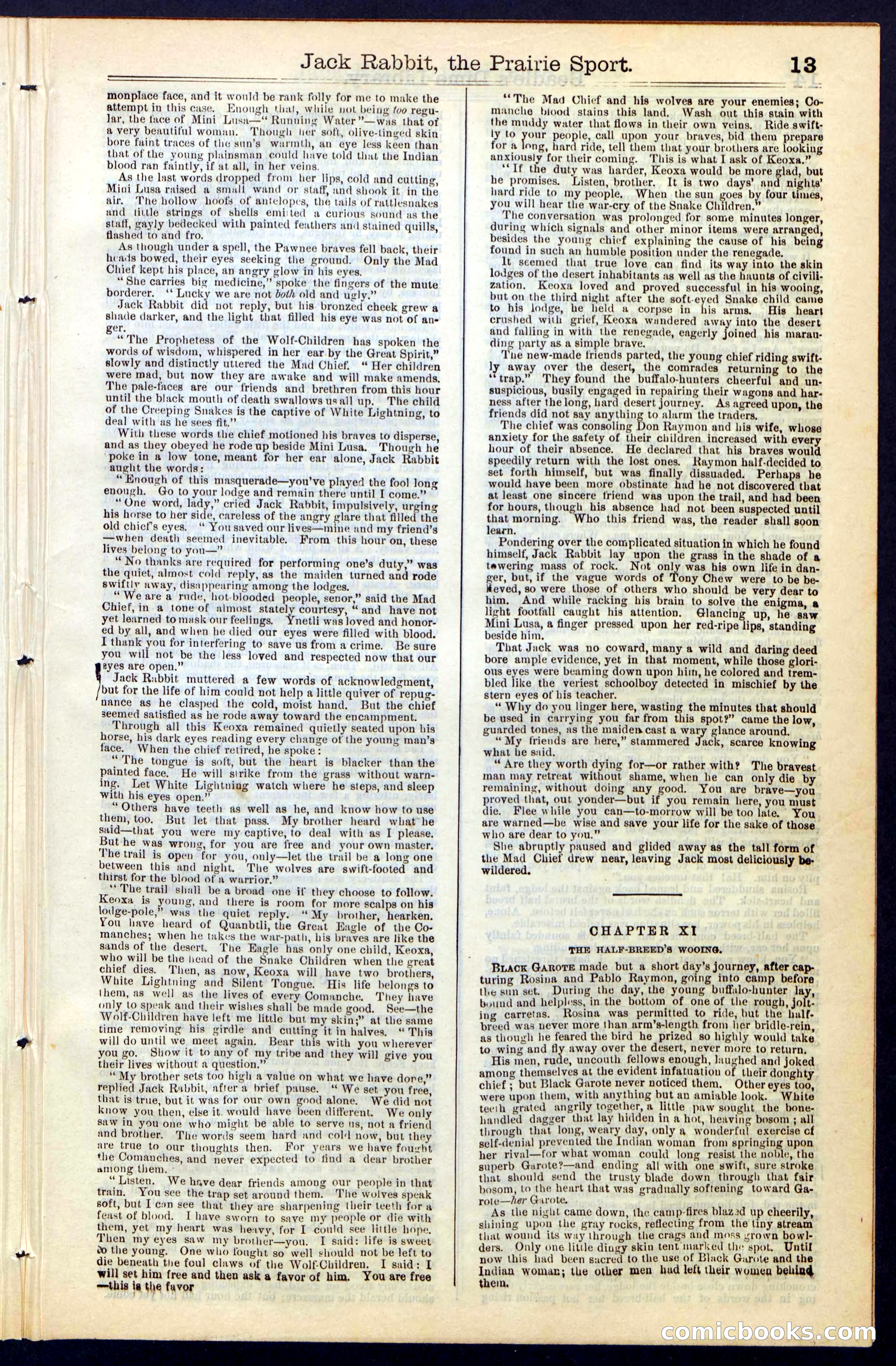 Beadle's New York Dime Library, No. 50 — page 13 of 40
