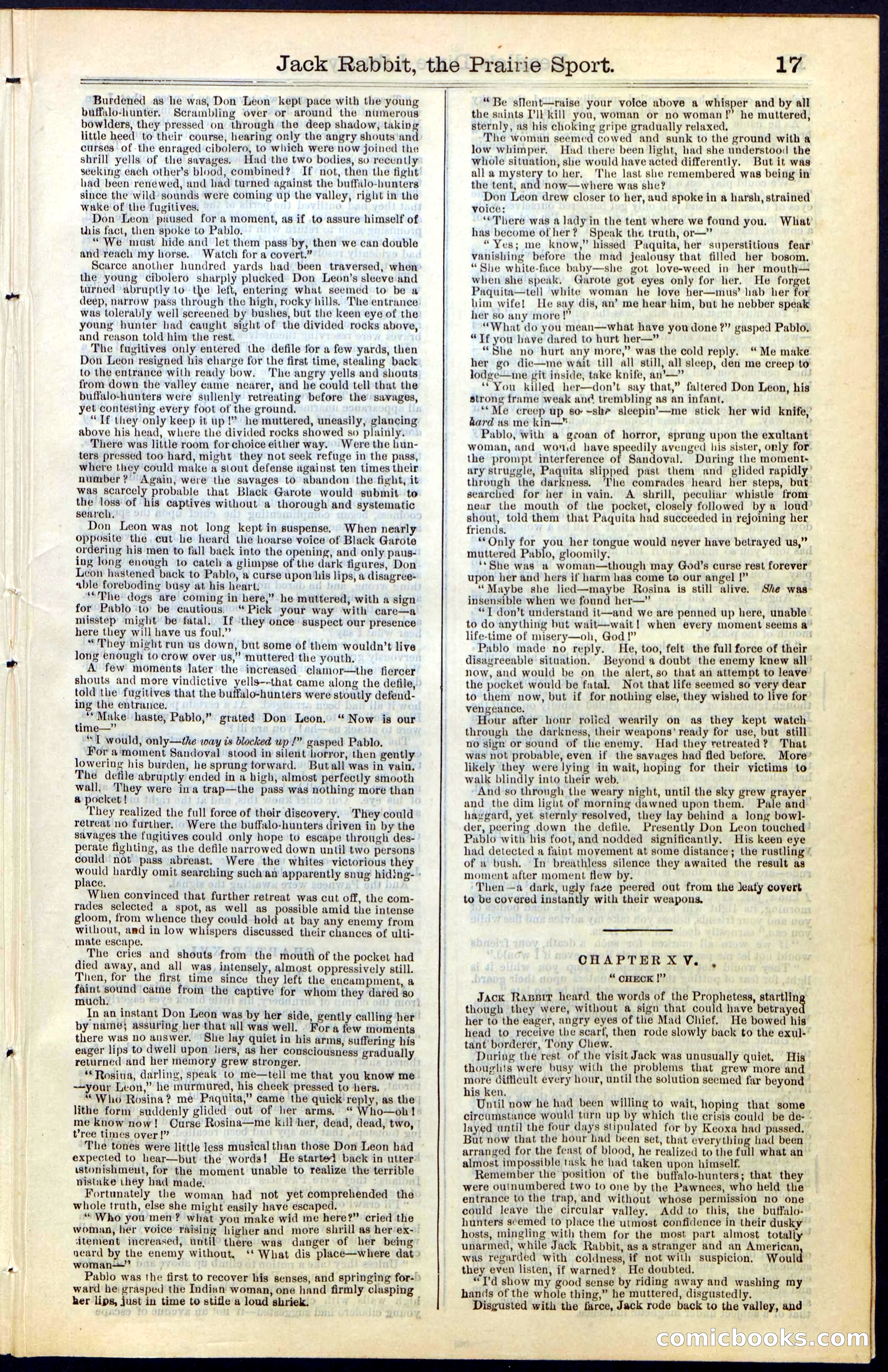 Beadle's New York Dime Library, No. 50 — page 17 of 40