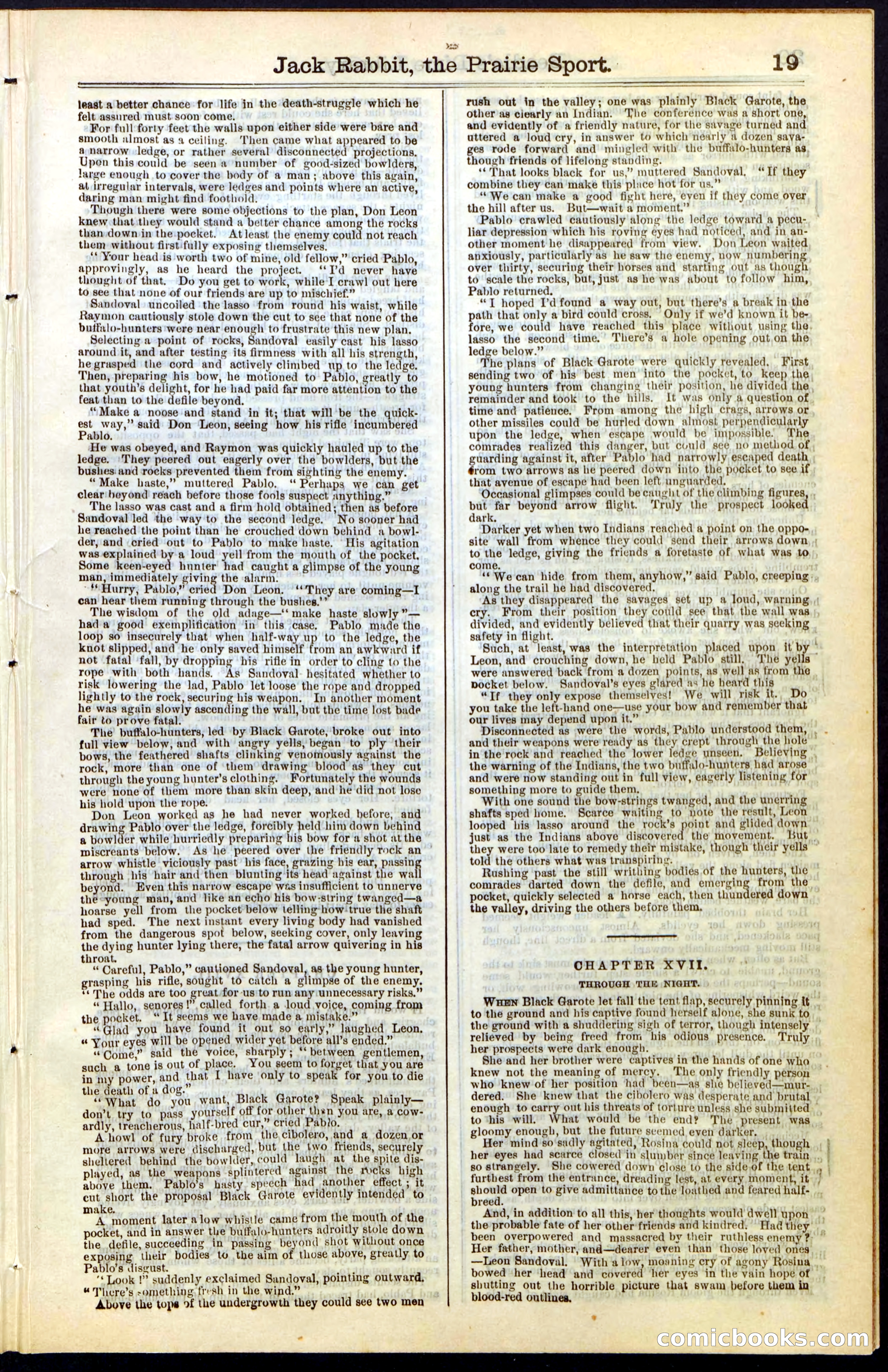 Beadle's New York Dime Library, No. 50 — page 19 of 40