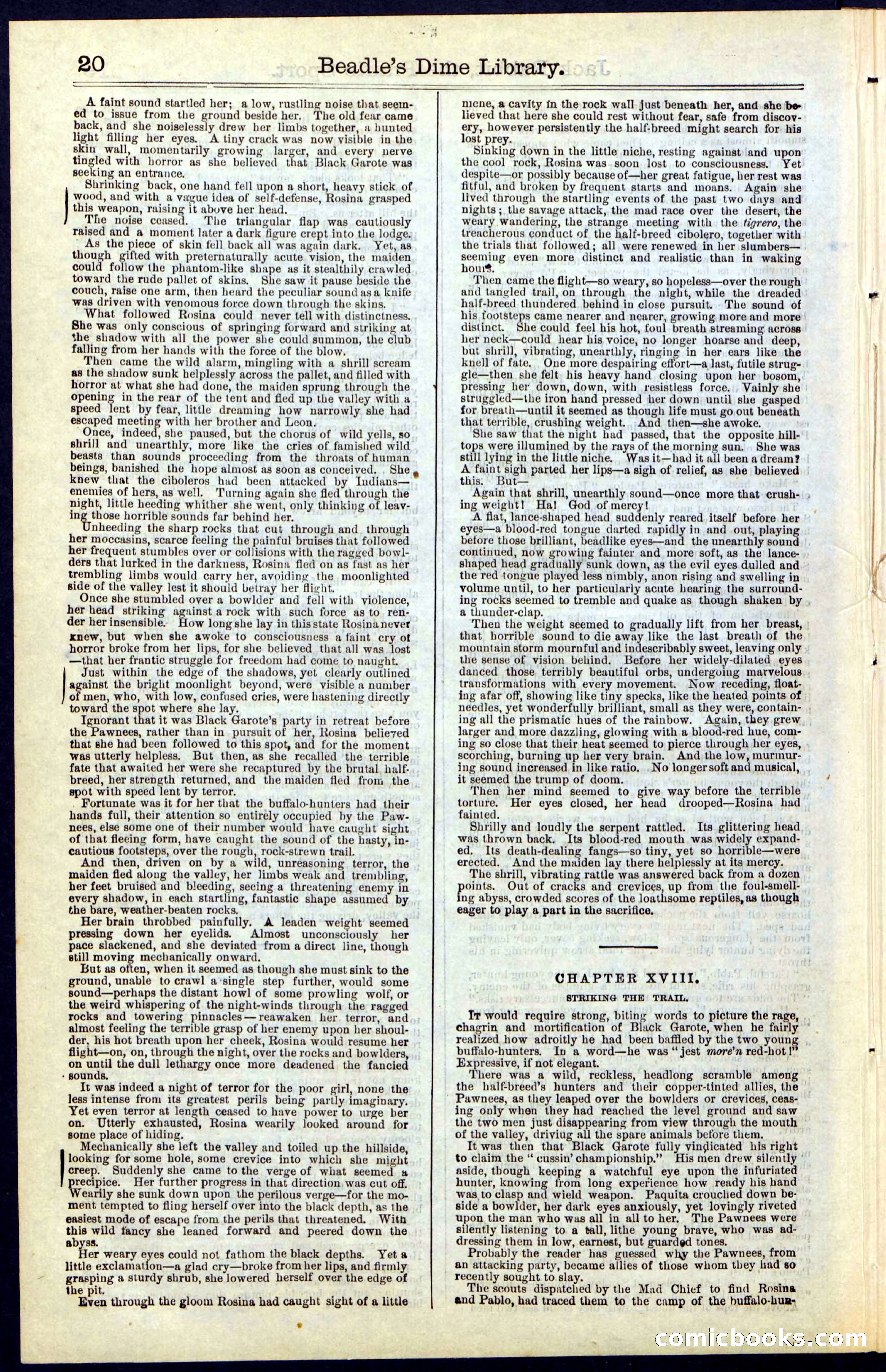 Beadle's New York Dime Library, No. 50 — page 20 of 40
