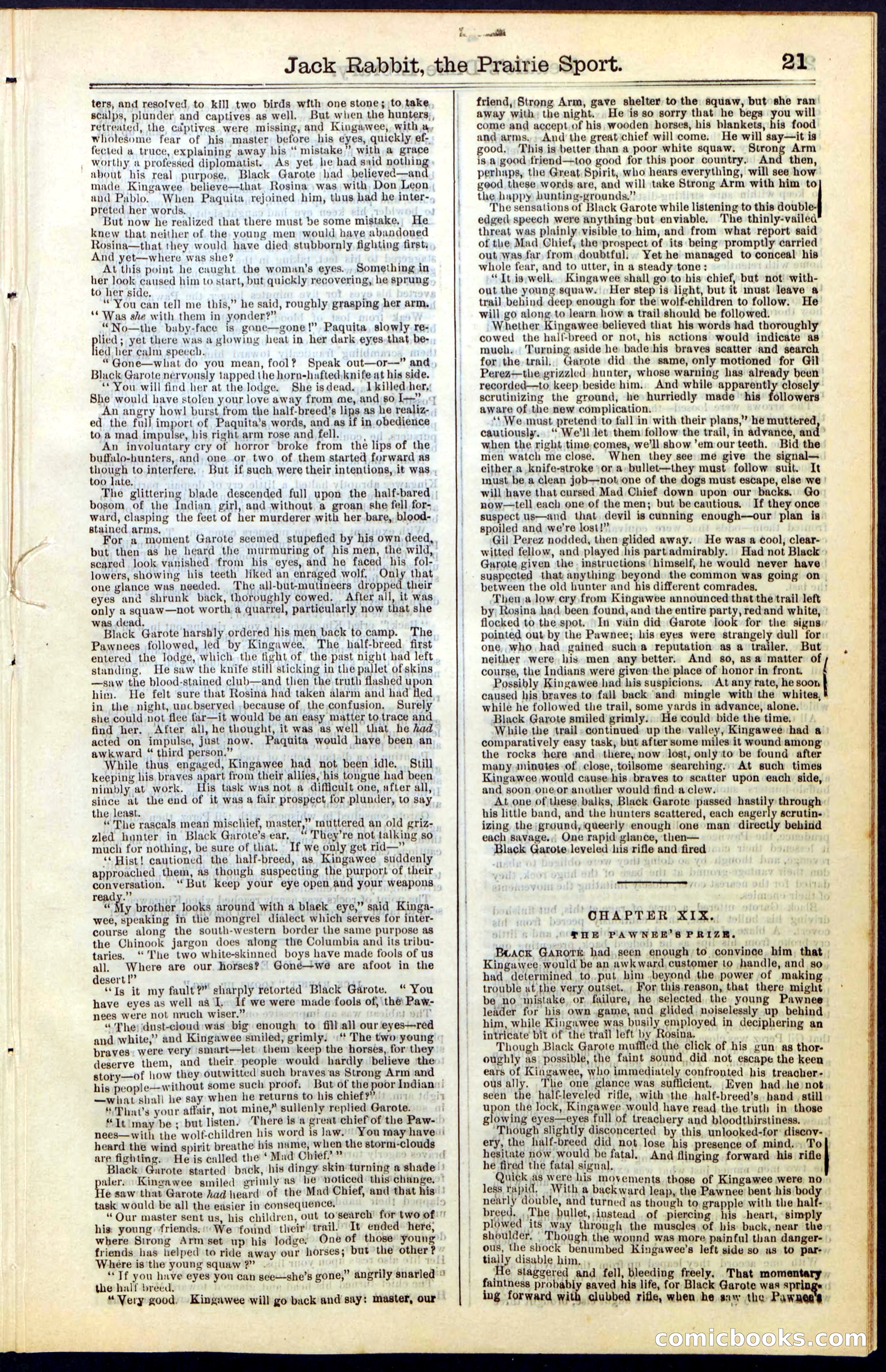 Beadle's New York Dime Library, No. 50 — page 21 of 40