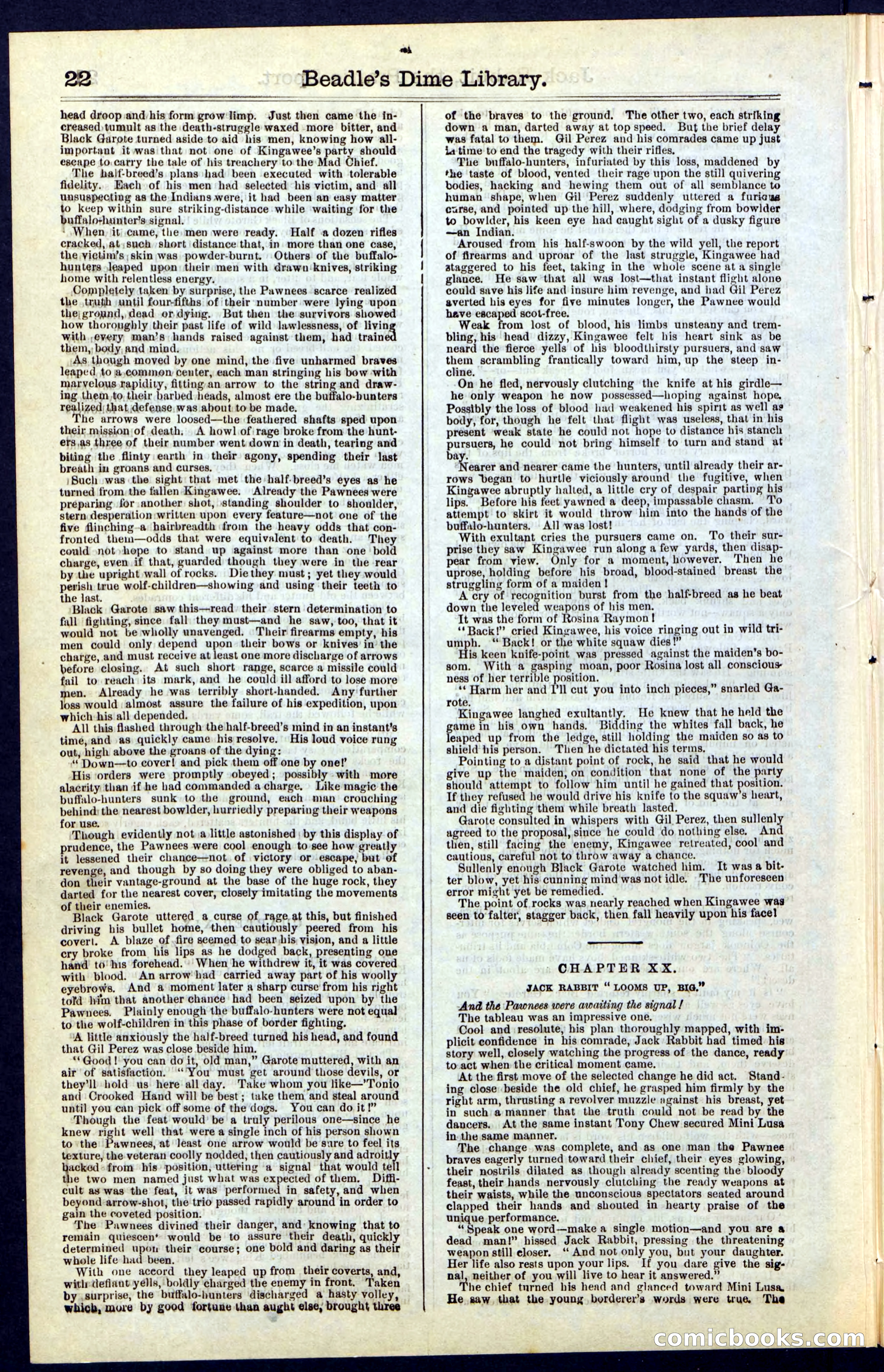 Beadle's New York Dime Library, No. 50 — page 22 of 40