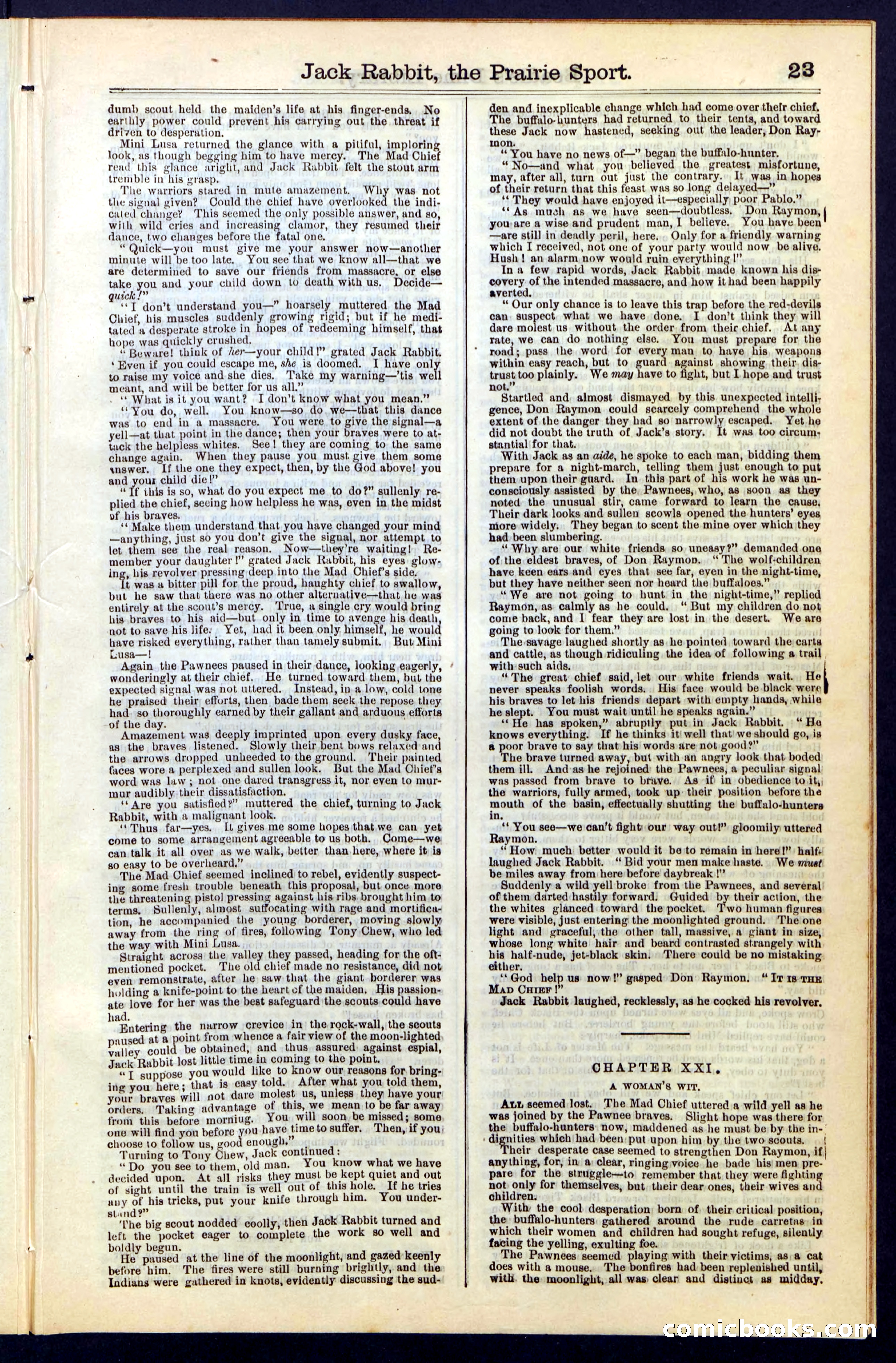 Beadle's New York Dime Library, No. 50 — page 23 of 40