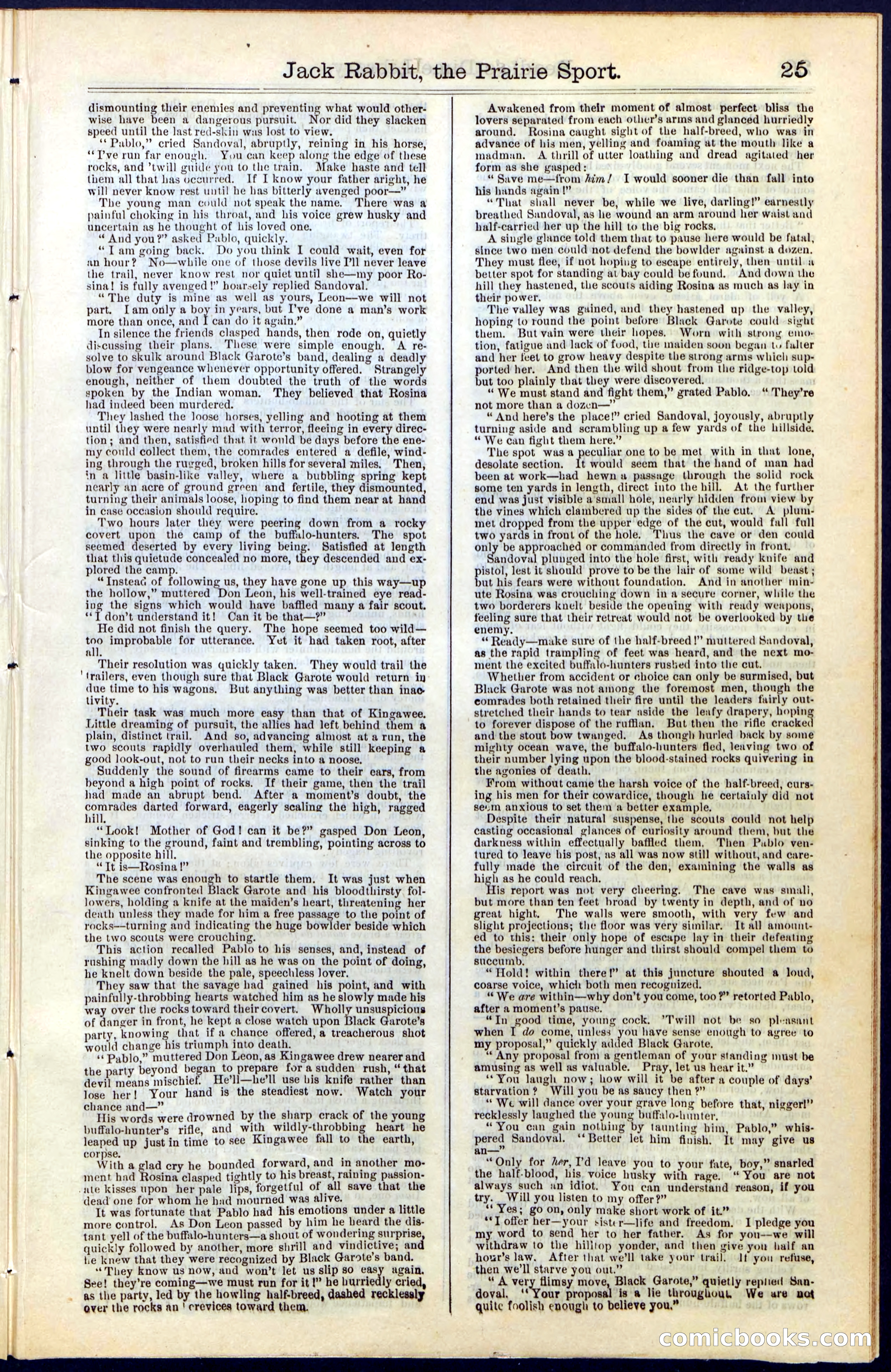 Beadle's New York Dime Library, No. 50 — page 25 of 40