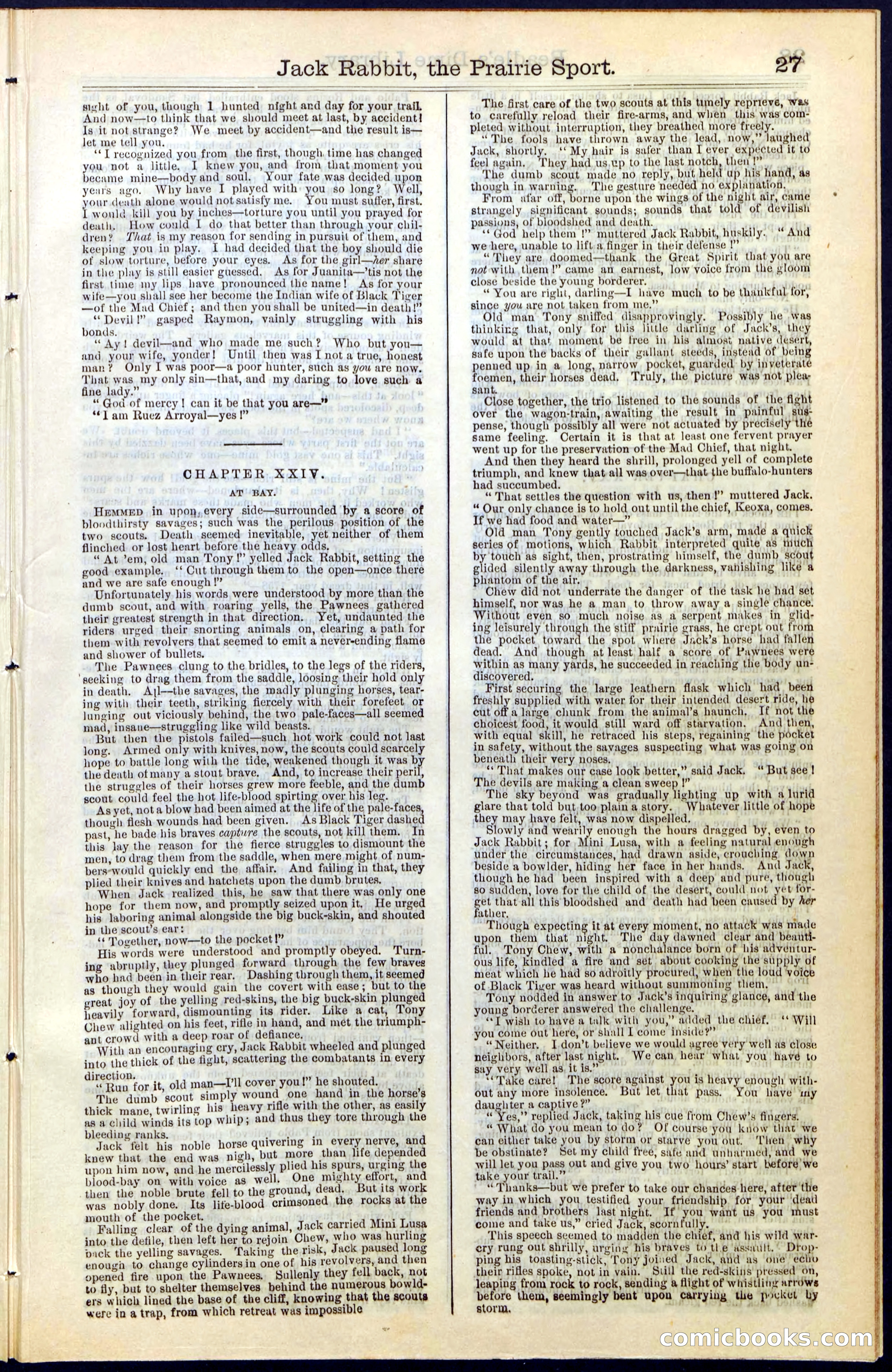 Beadle's New York Dime Library, No. 50 — page 27 of 40