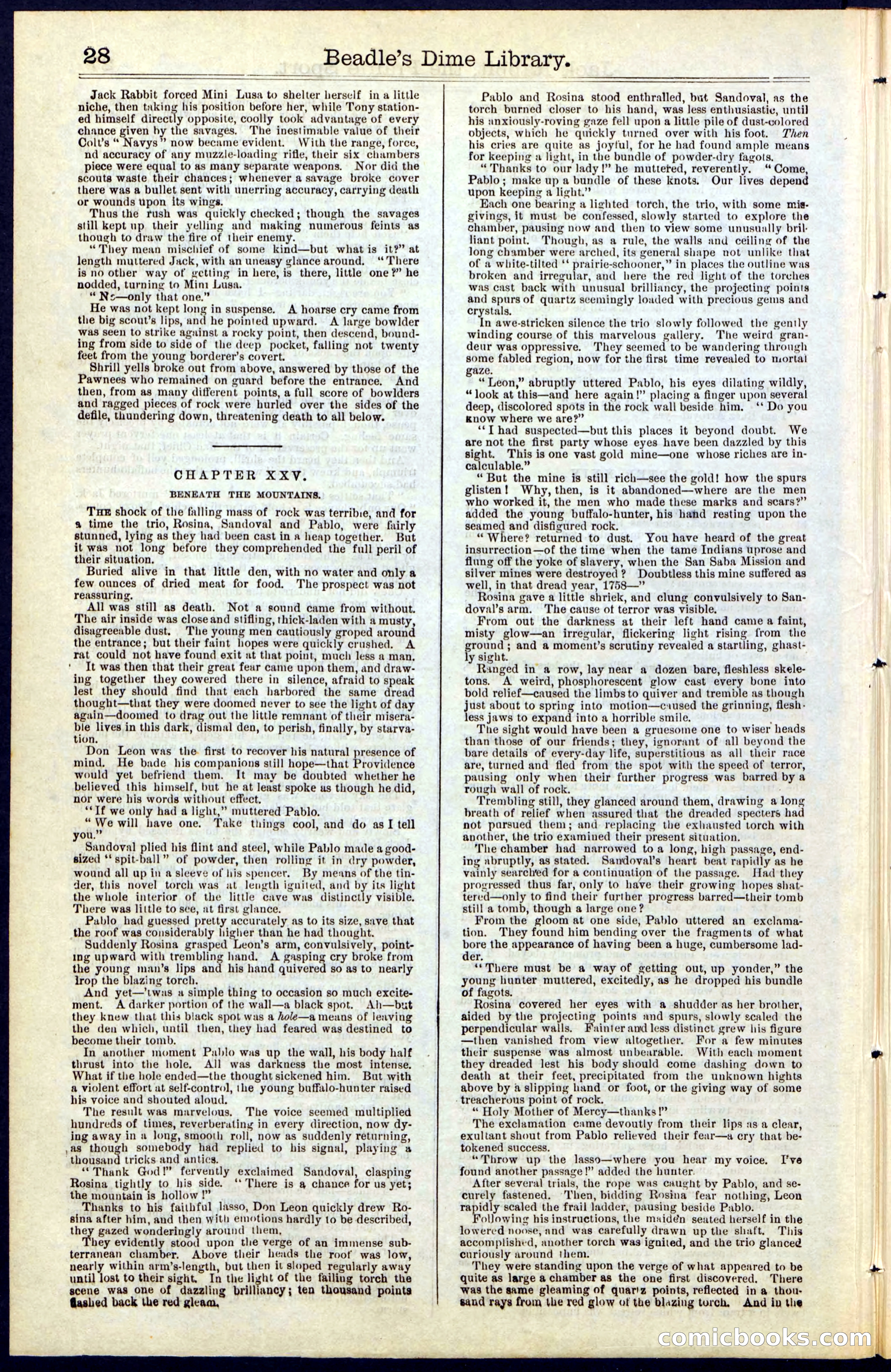 Beadle's New York Dime Library, No. 50 — page 28 of 40