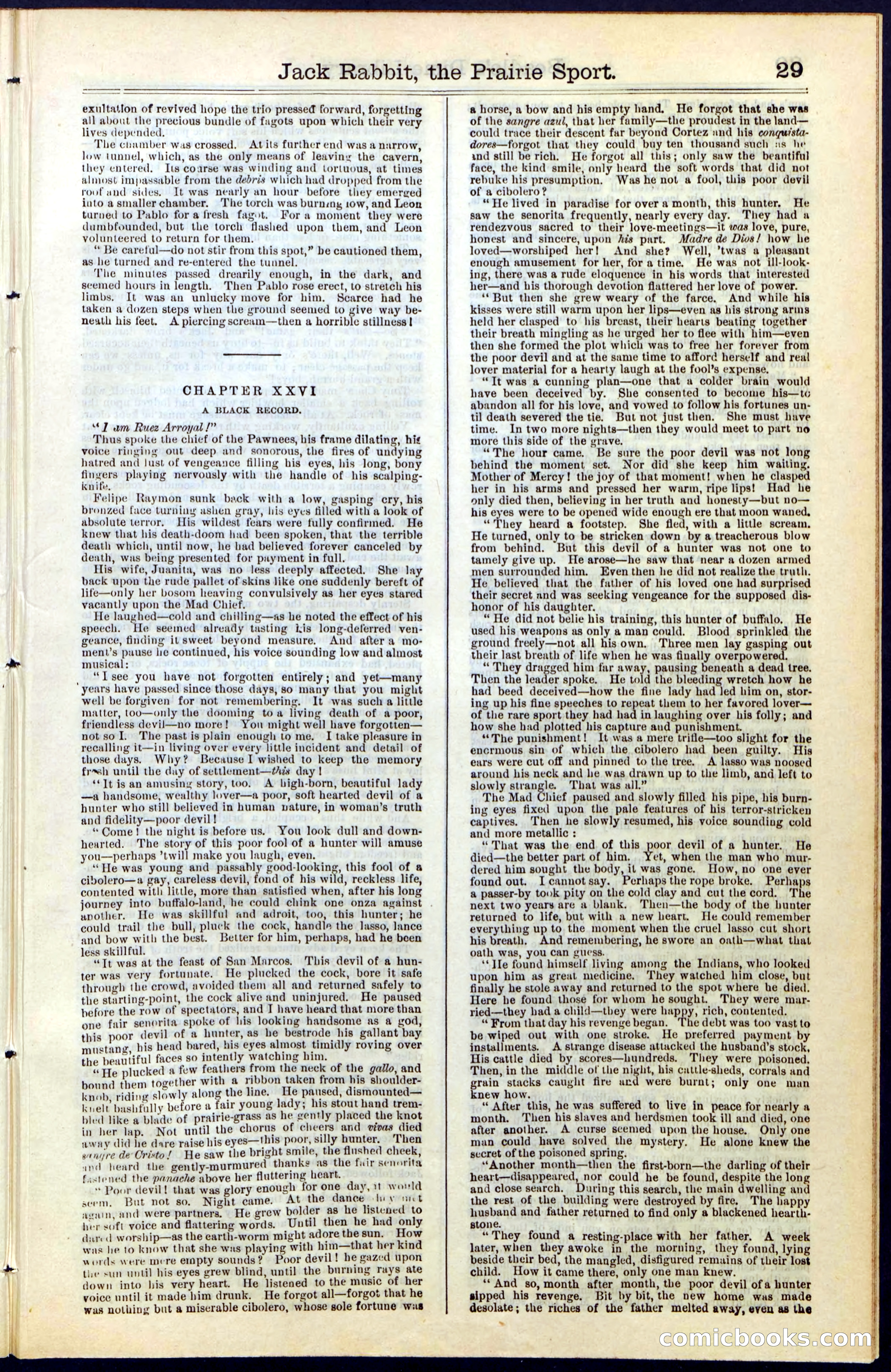 Beadle's New York Dime Library, No. 50 — page 29 of 40