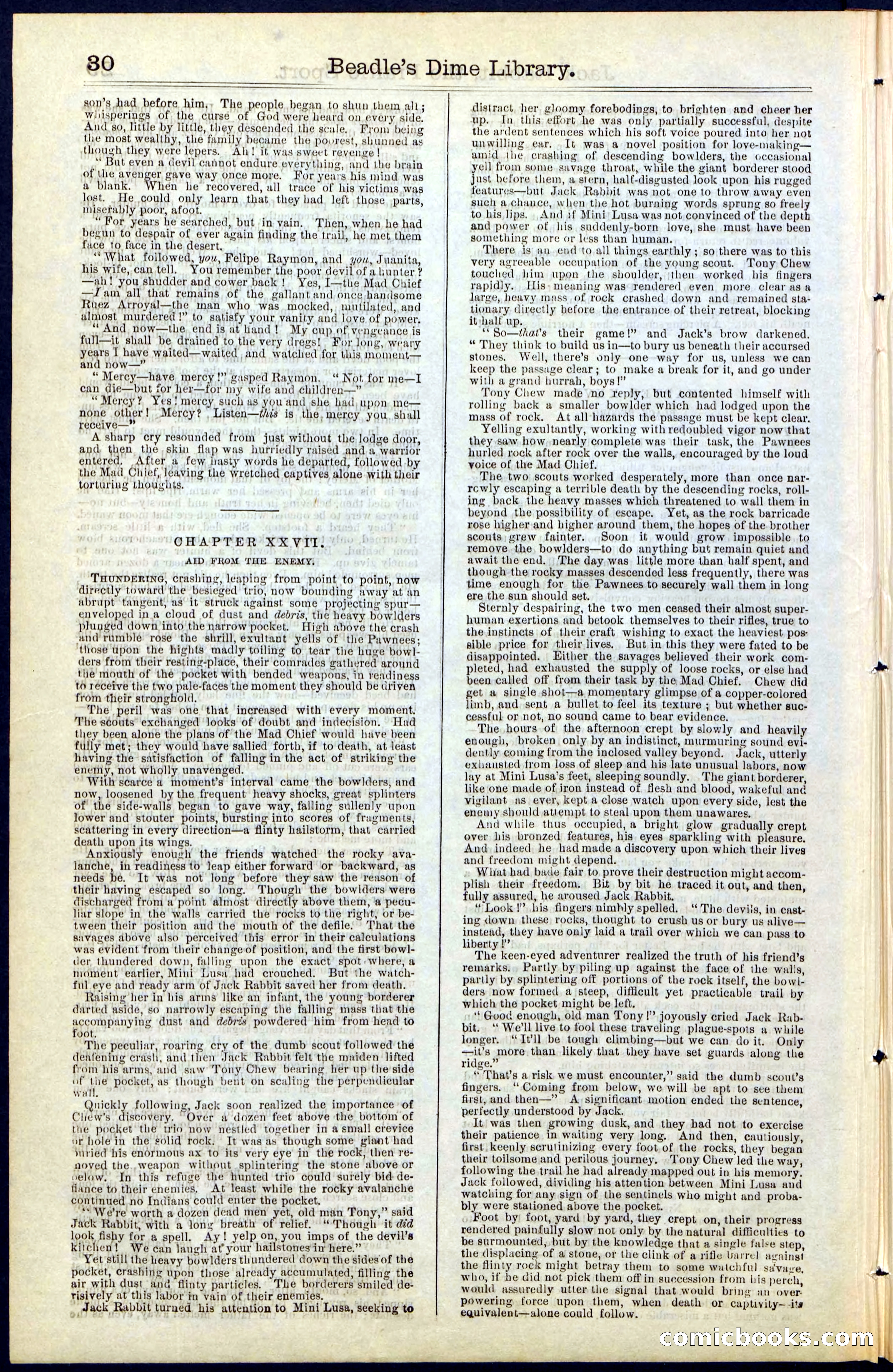 Beadle's New York Dime Library, No. 50 — page 30 of 40