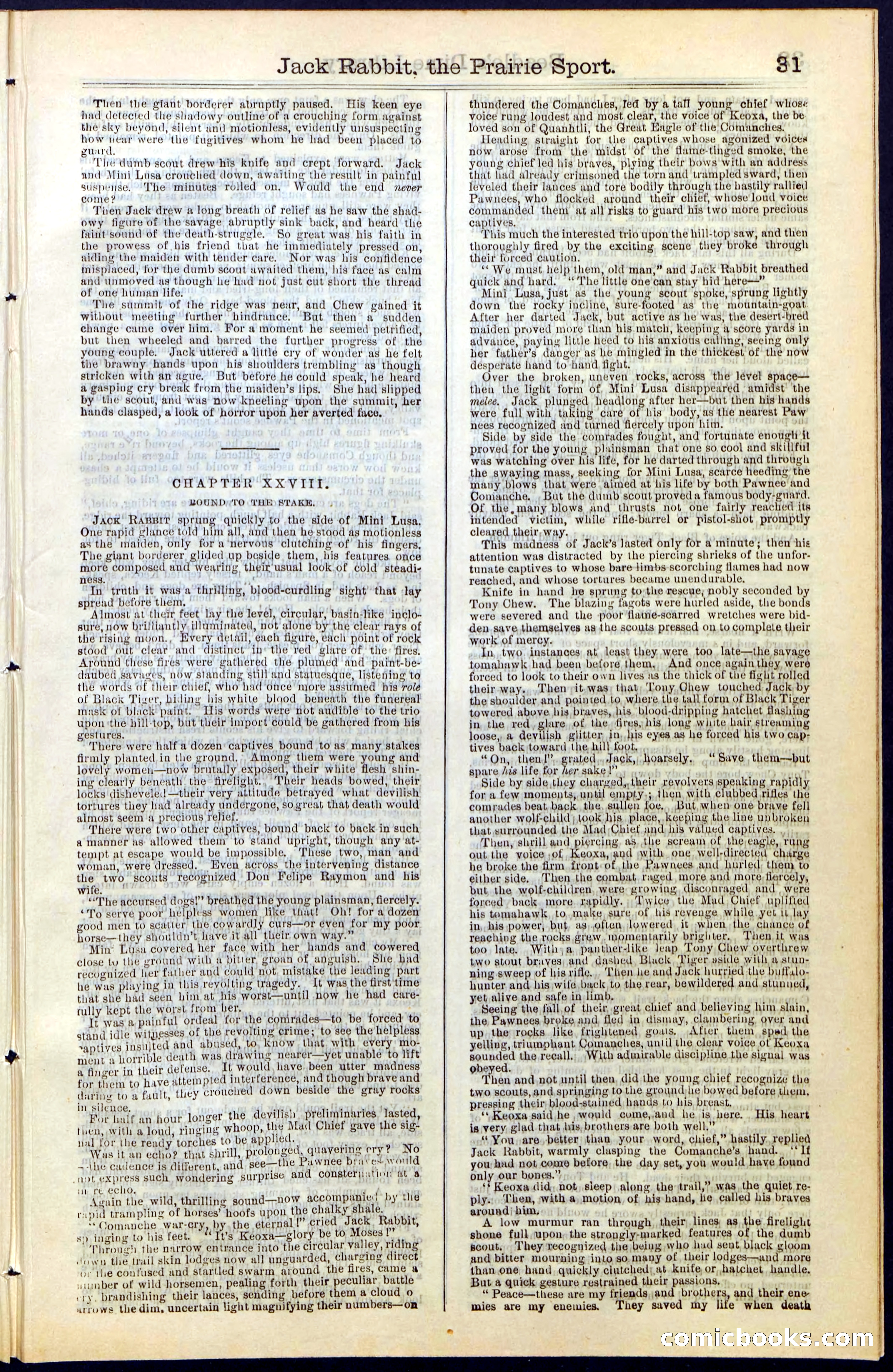 Beadle's New York Dime Library, No. 50 — page 31 of 40