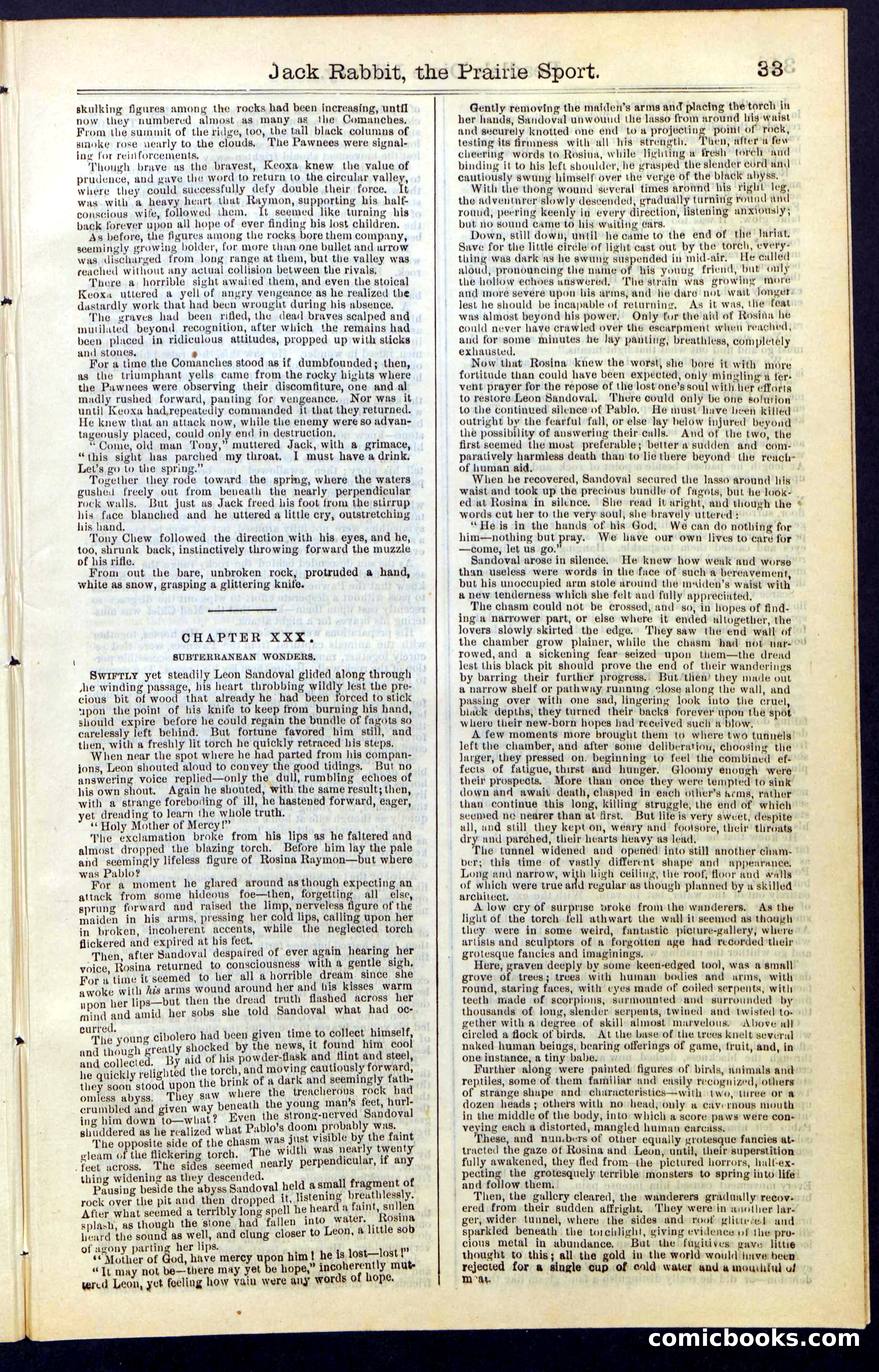 Beadle's New York Dime Library, No. 50 — page 33 of 40