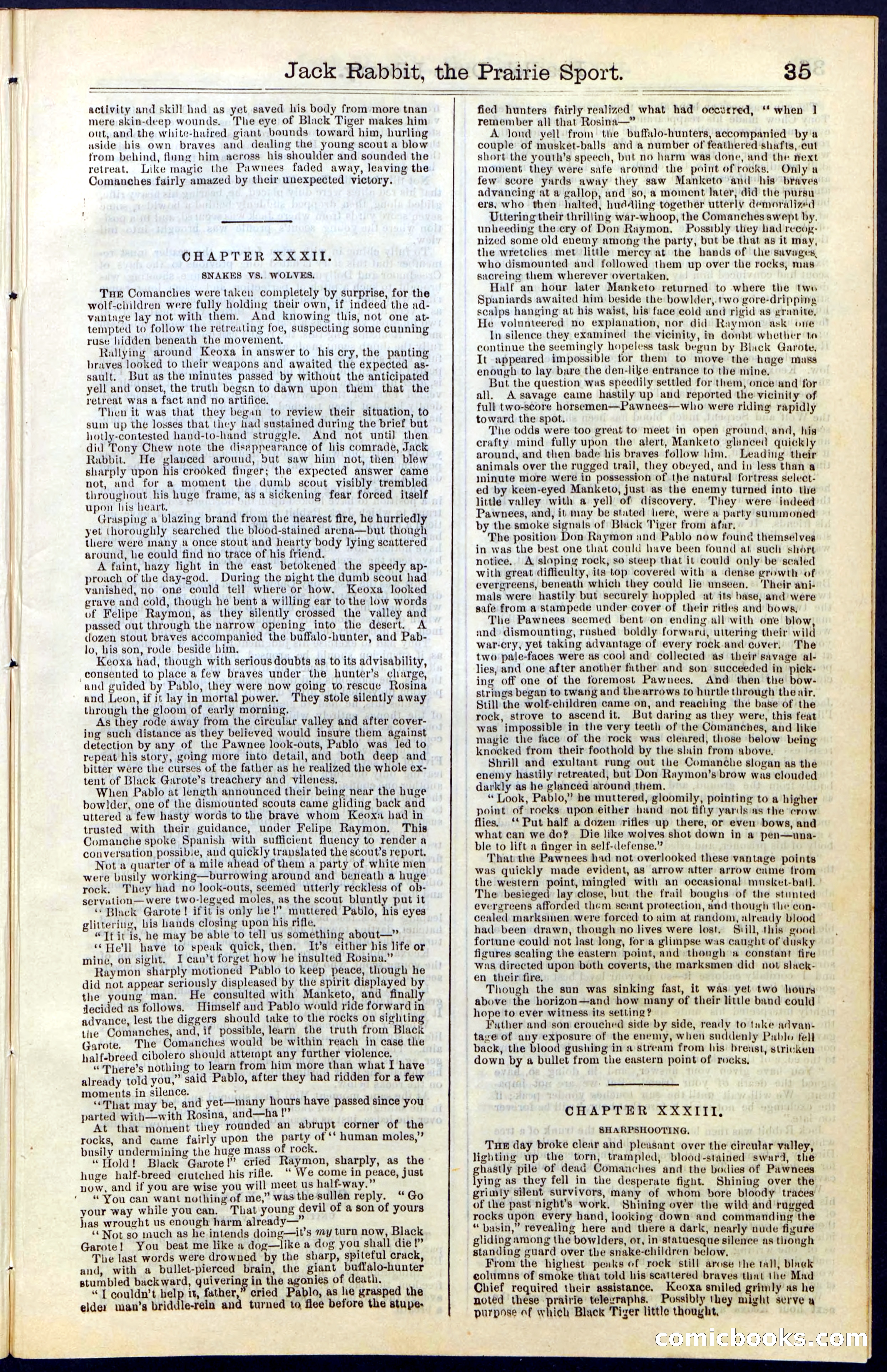 Beadle's New York Dime Library, No. 50 — page 35 of 40