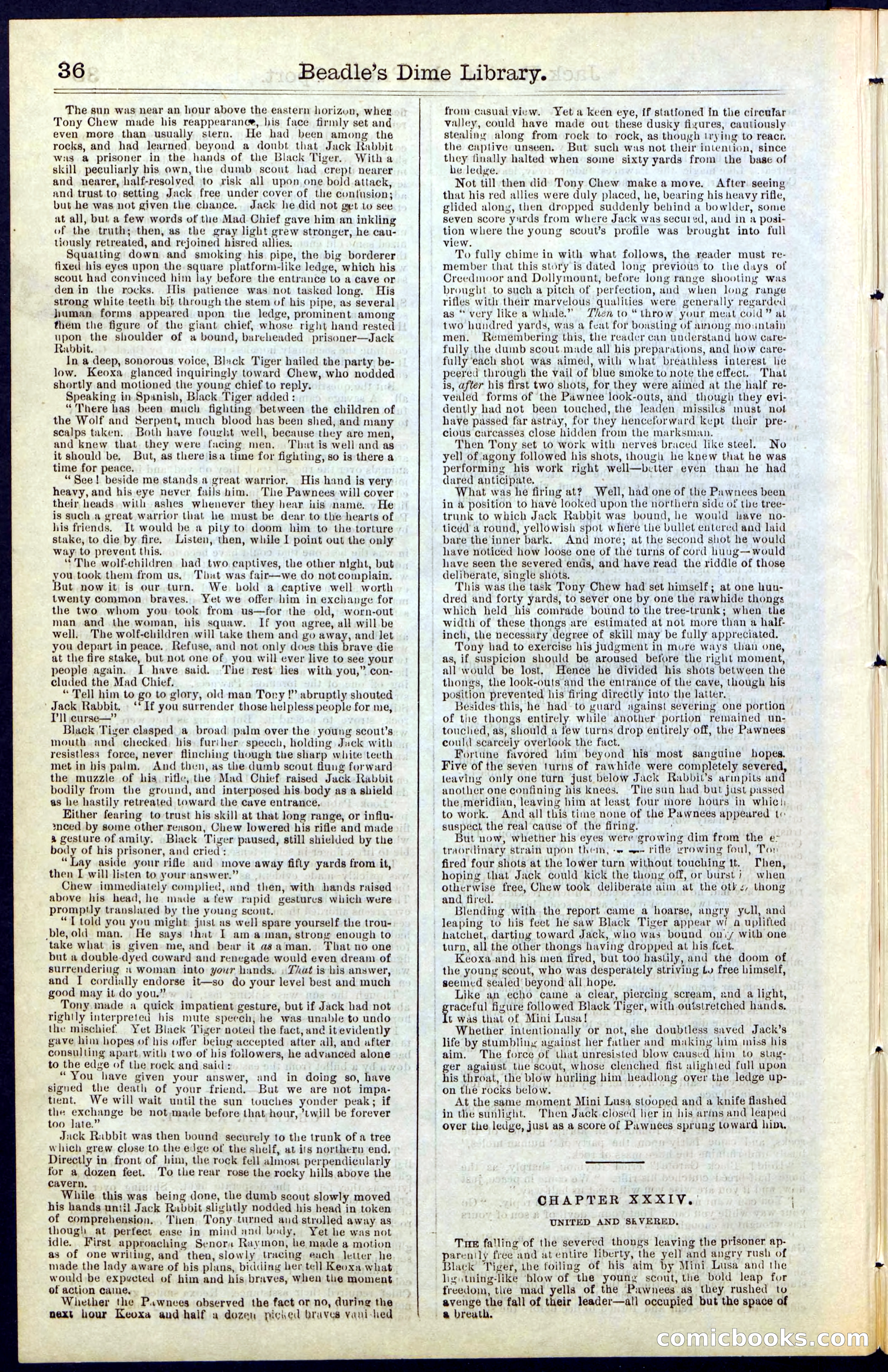 Beadle's New York Dime Library, No. 50 — page 36 of 40