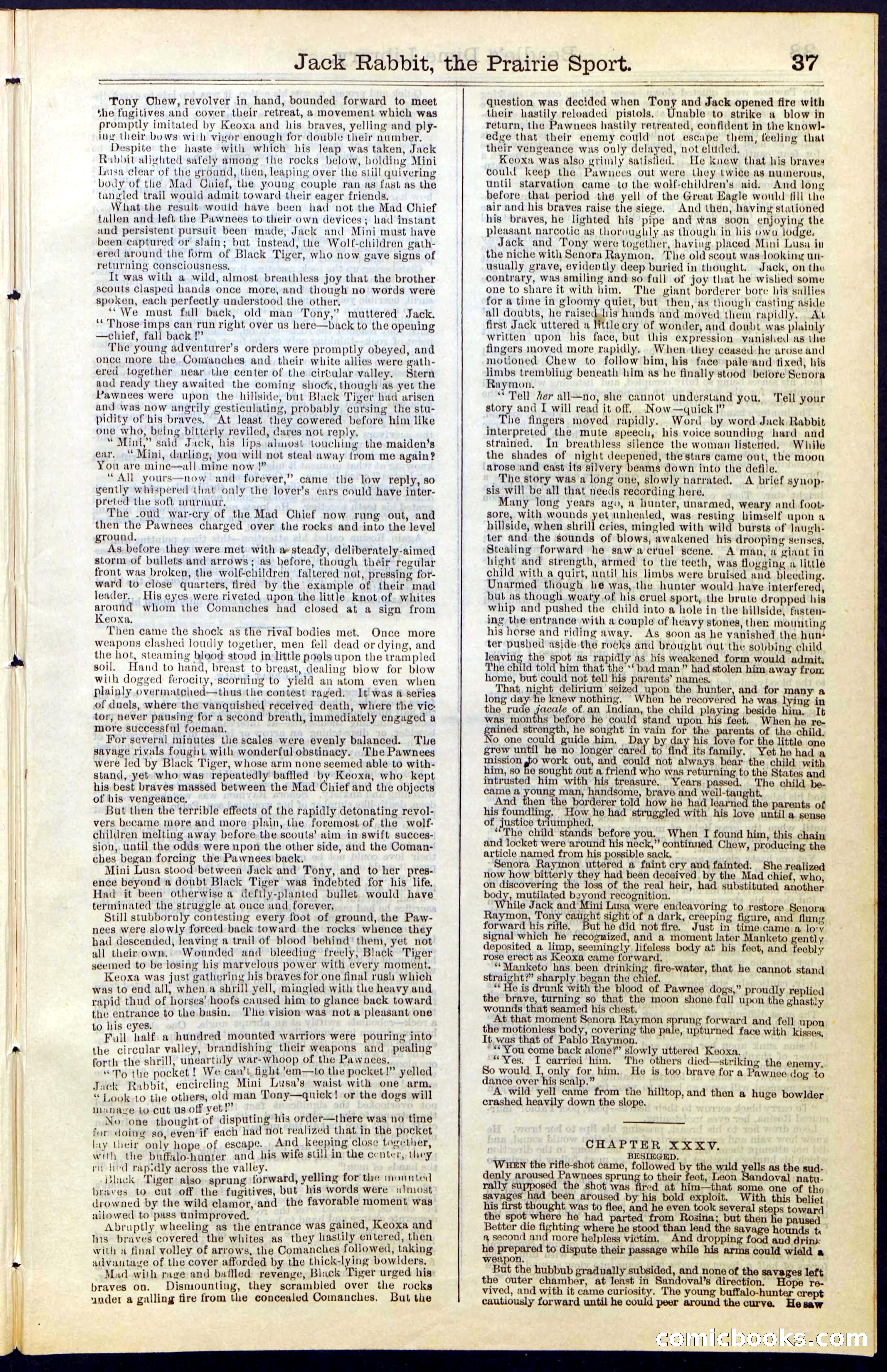 Beadle's New York Dime Library, No. 50 — page 37 of 40