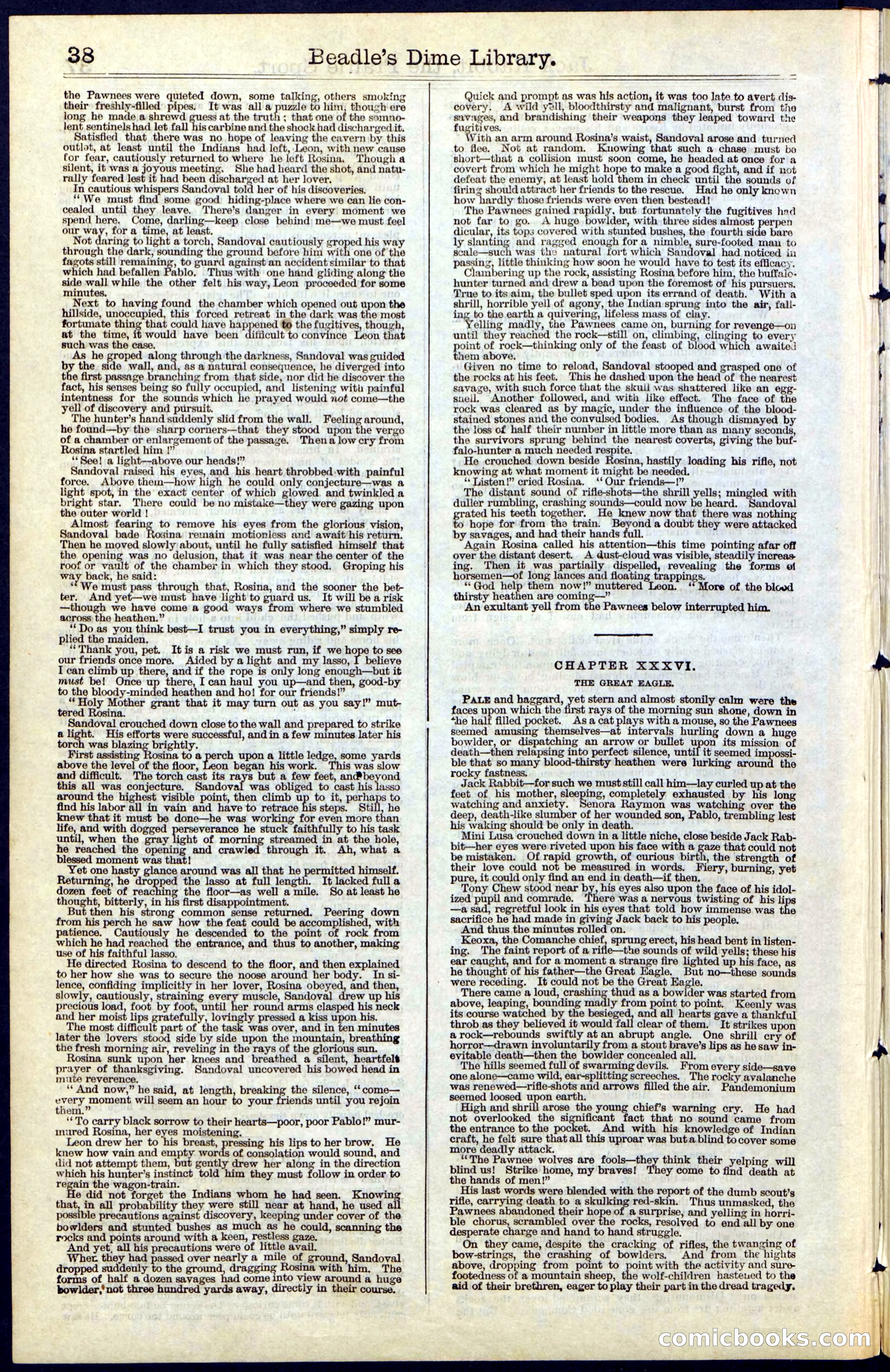 Beadle's New York Dime Library, No. 50 — page 38 of 40
