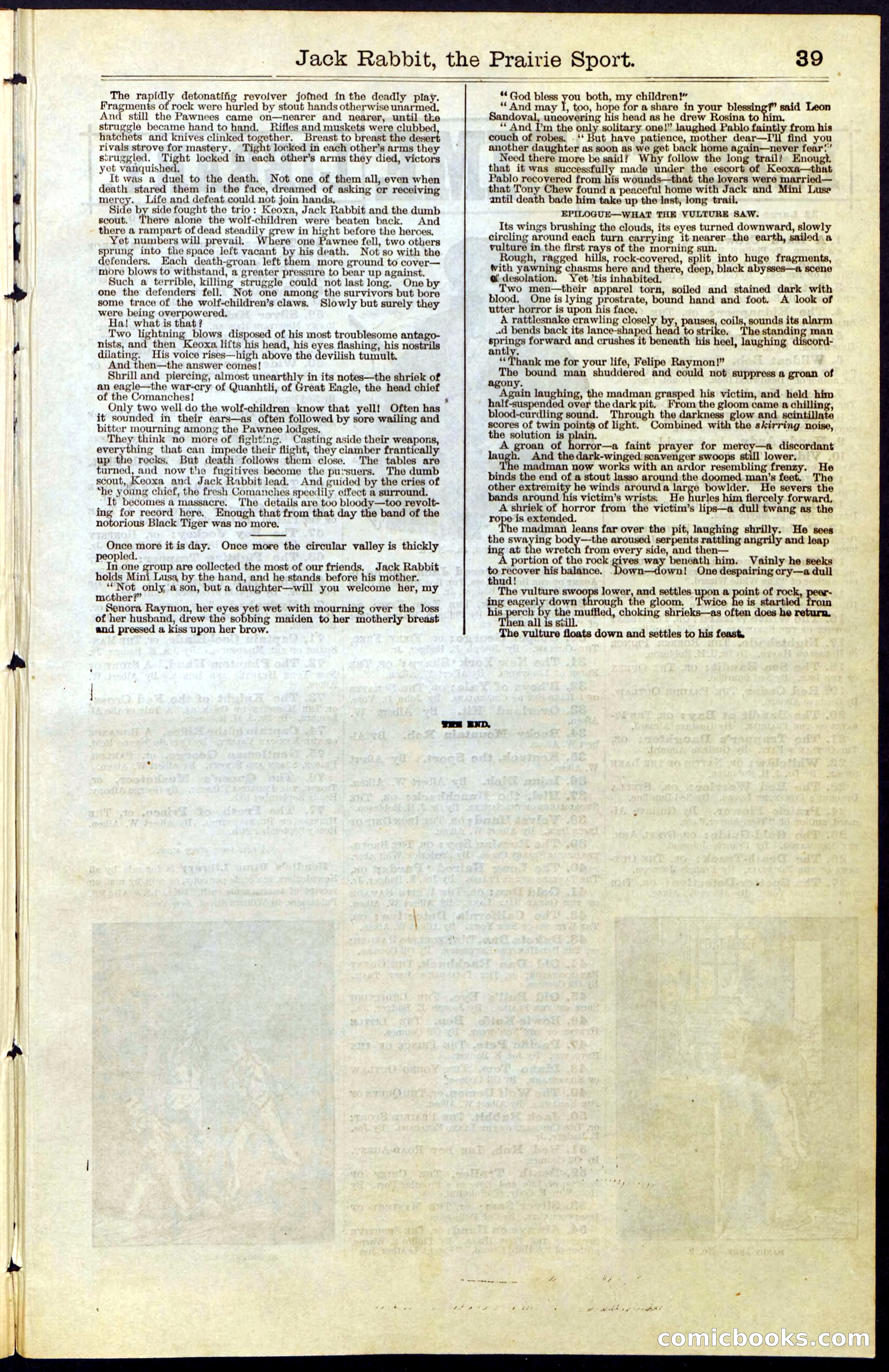 Beadle's New York Dime Library, No. 50 — page 39 of 40