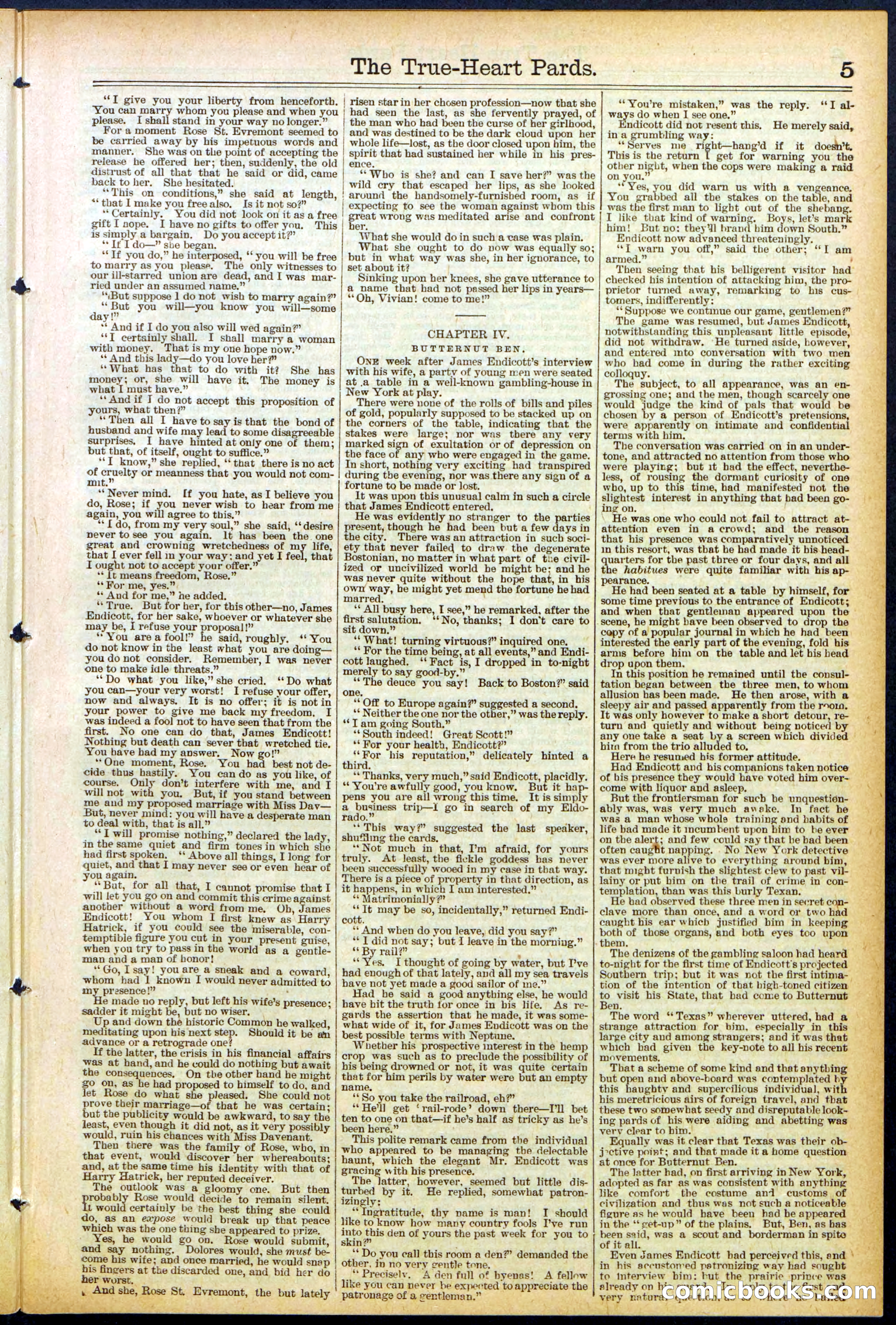 Beadle's New York Dime Library, No. 500 — page 5 of 32