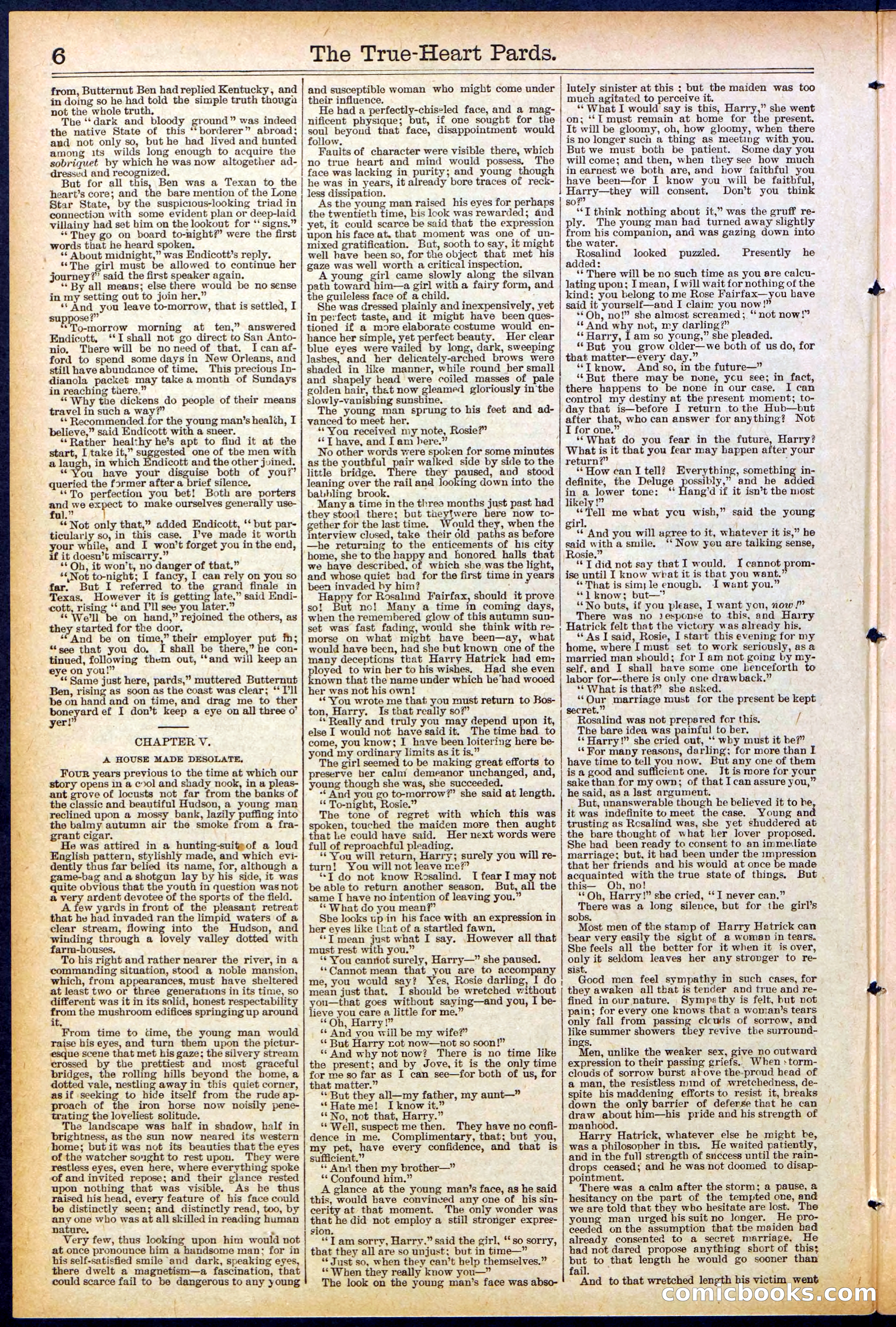 Beadle's New York Dime Library, No. 500 — page 6 of 32