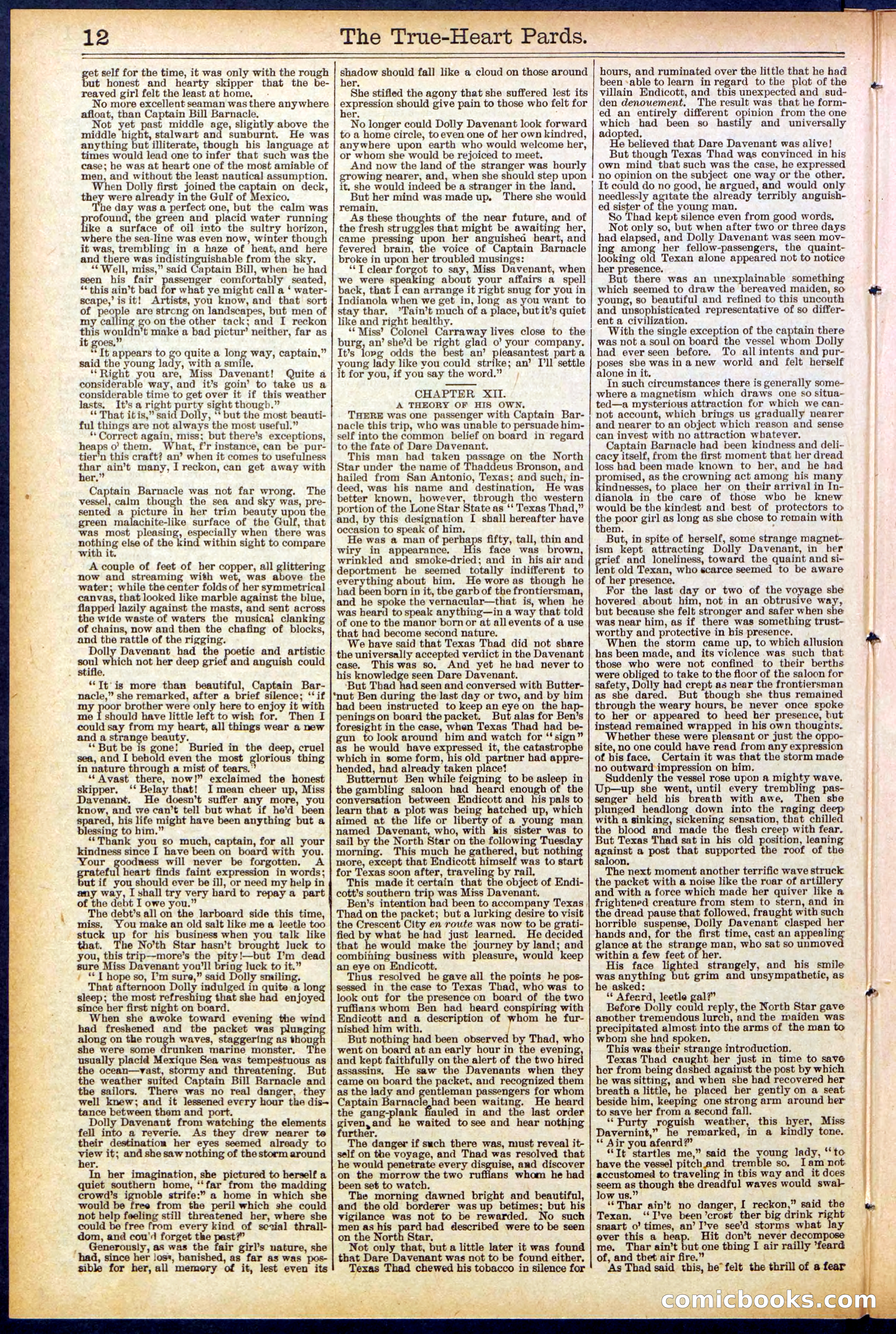 Beadle's New York Dime Library, No. 500 — page 12 of 32