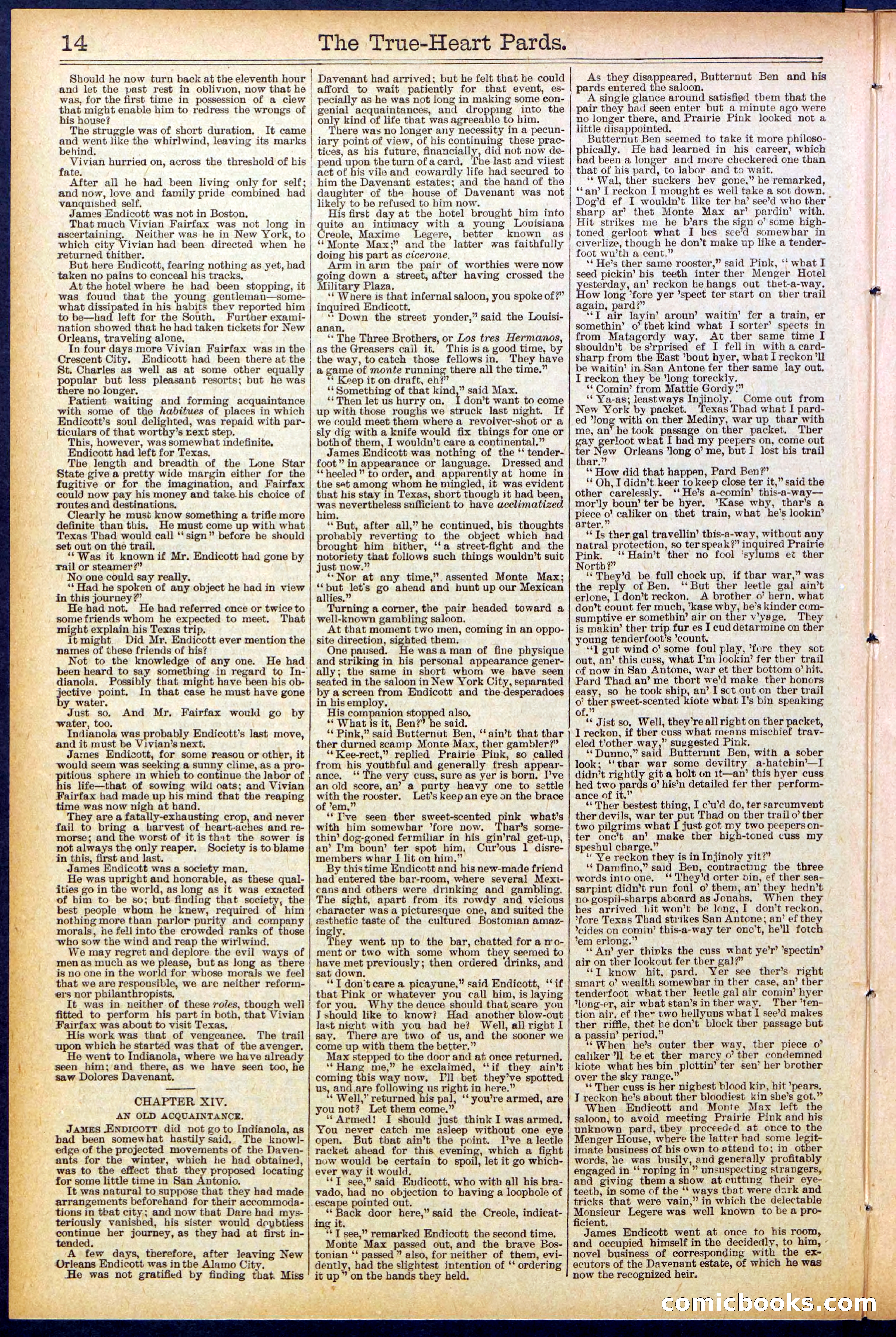 Beadle's New York Dime Library, No. 500 — page 14 of 32