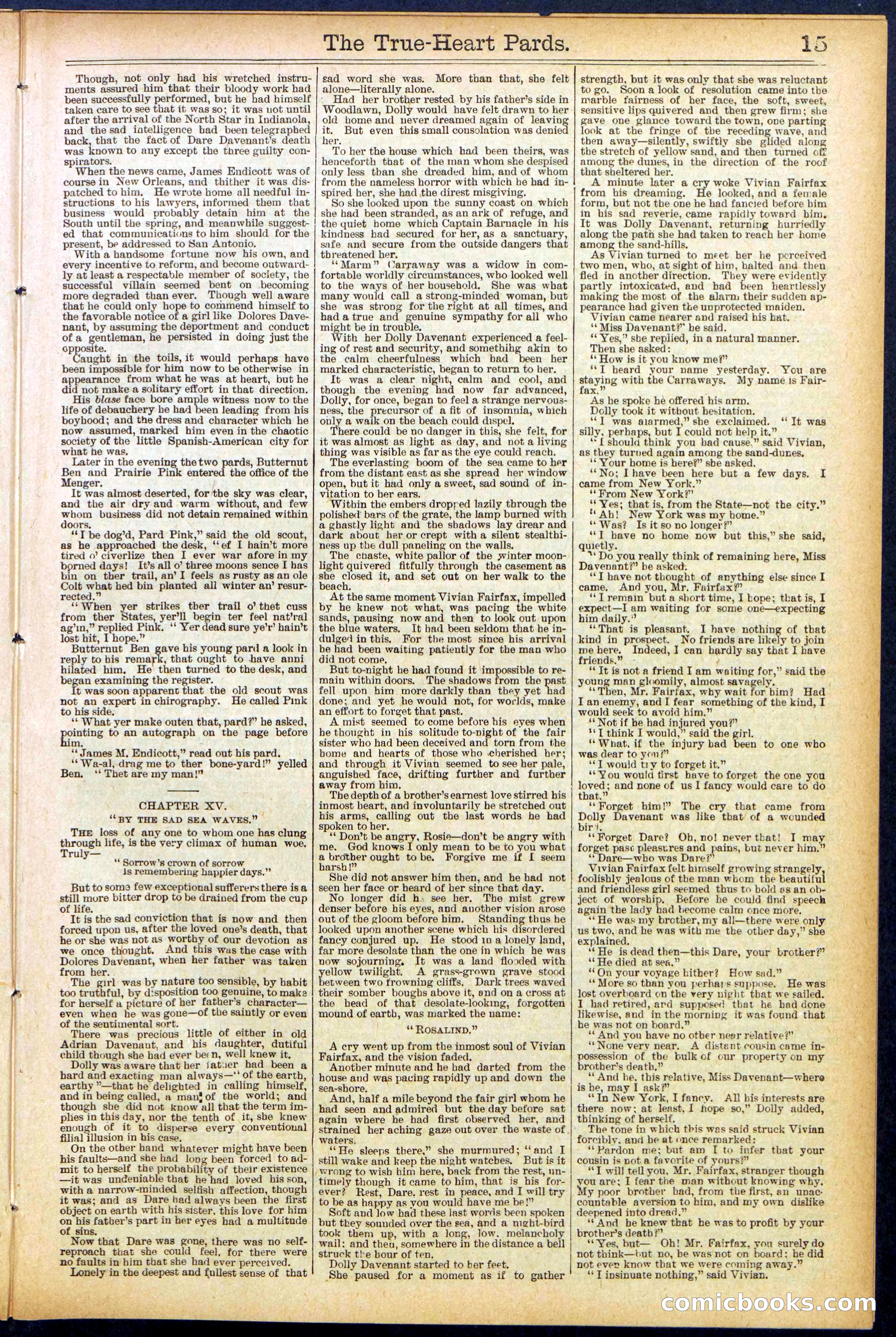 Beadle's New York Dime Library, No. 500 — page 15 of 32