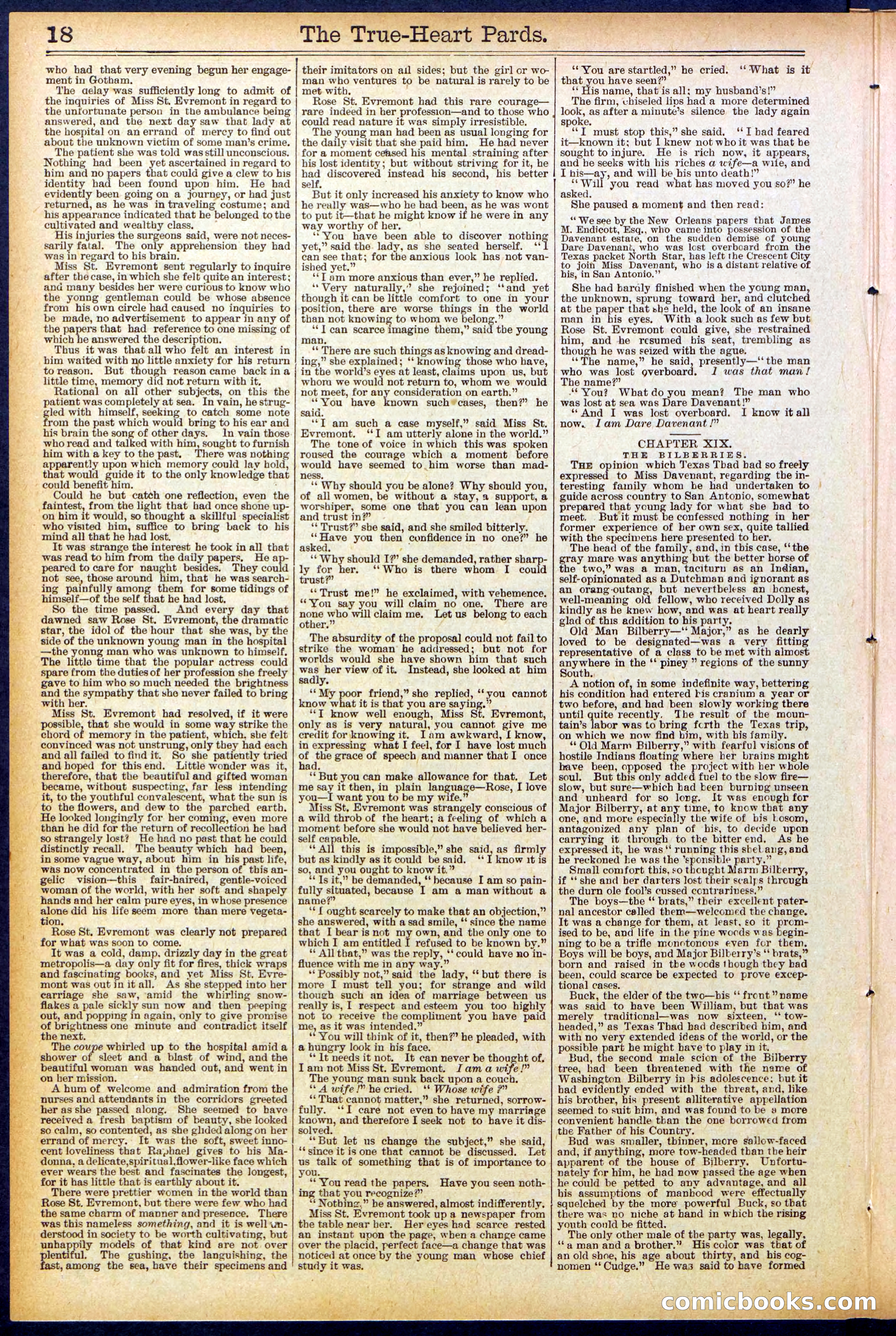 Beadle's New York Dime Library, No. 500 — page 18 of 32