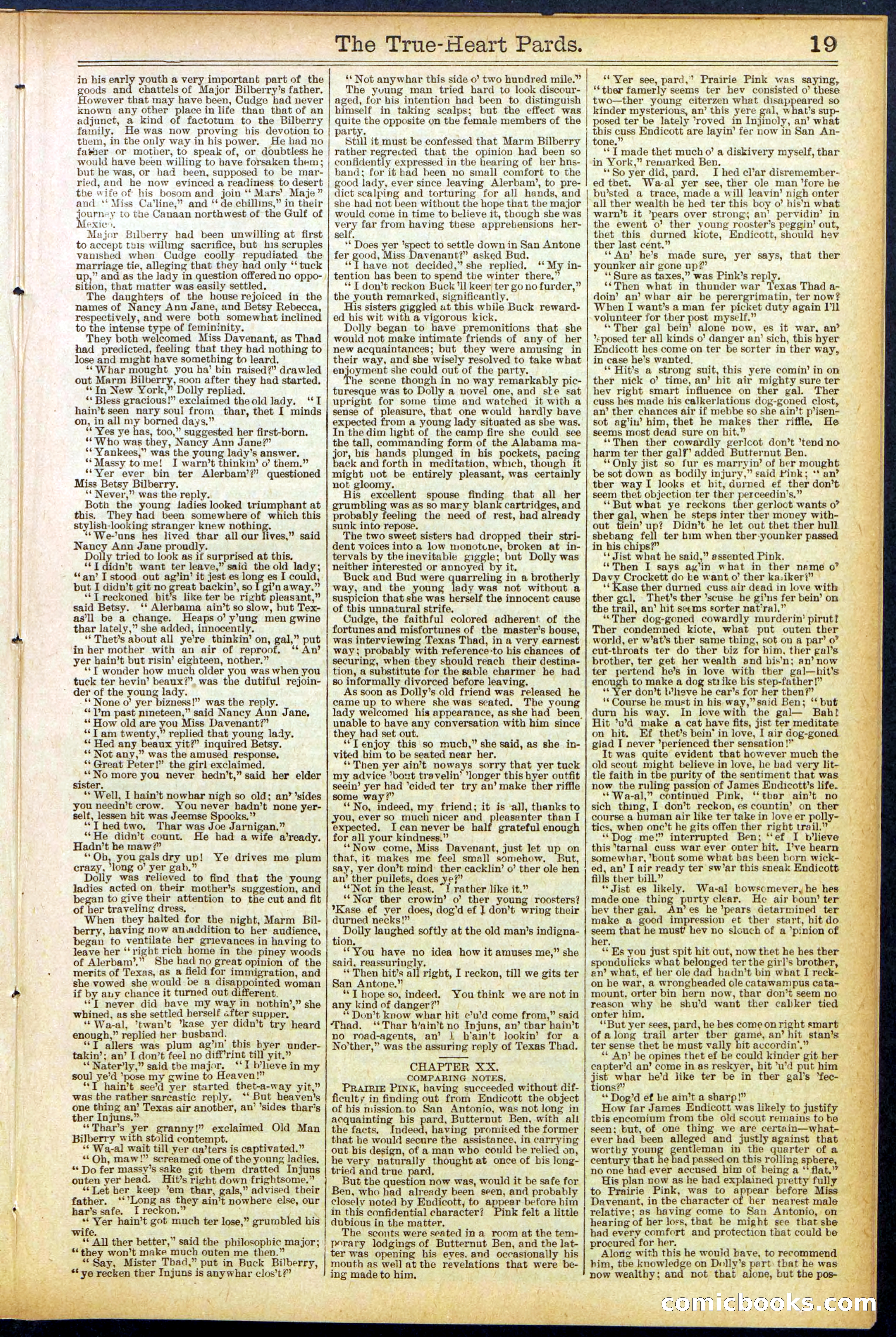 Beadle's New York Dime Library, No. 500 — page 19 of 32