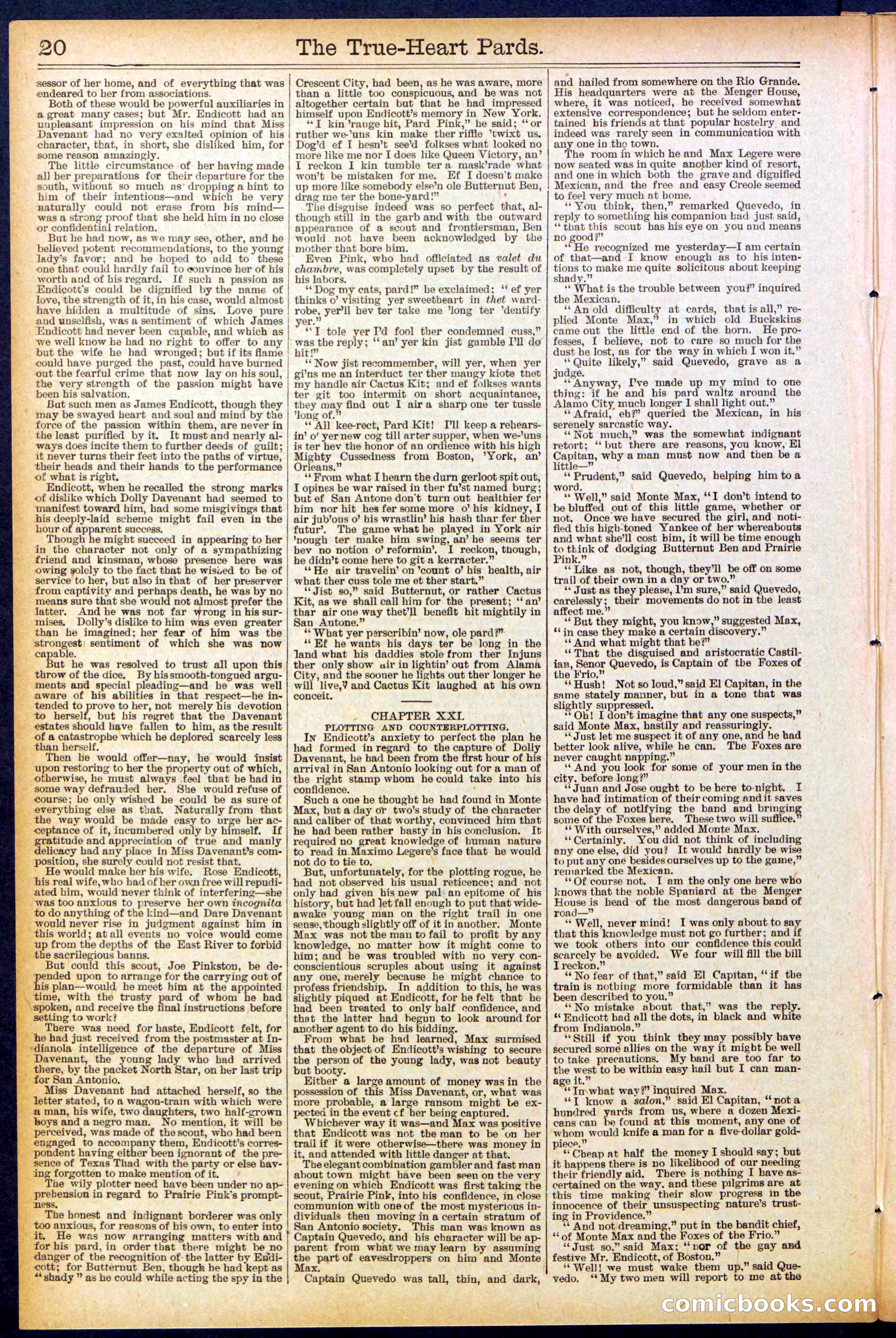 Beadle's New York Dime Library, No. 500 — page 20 of 32