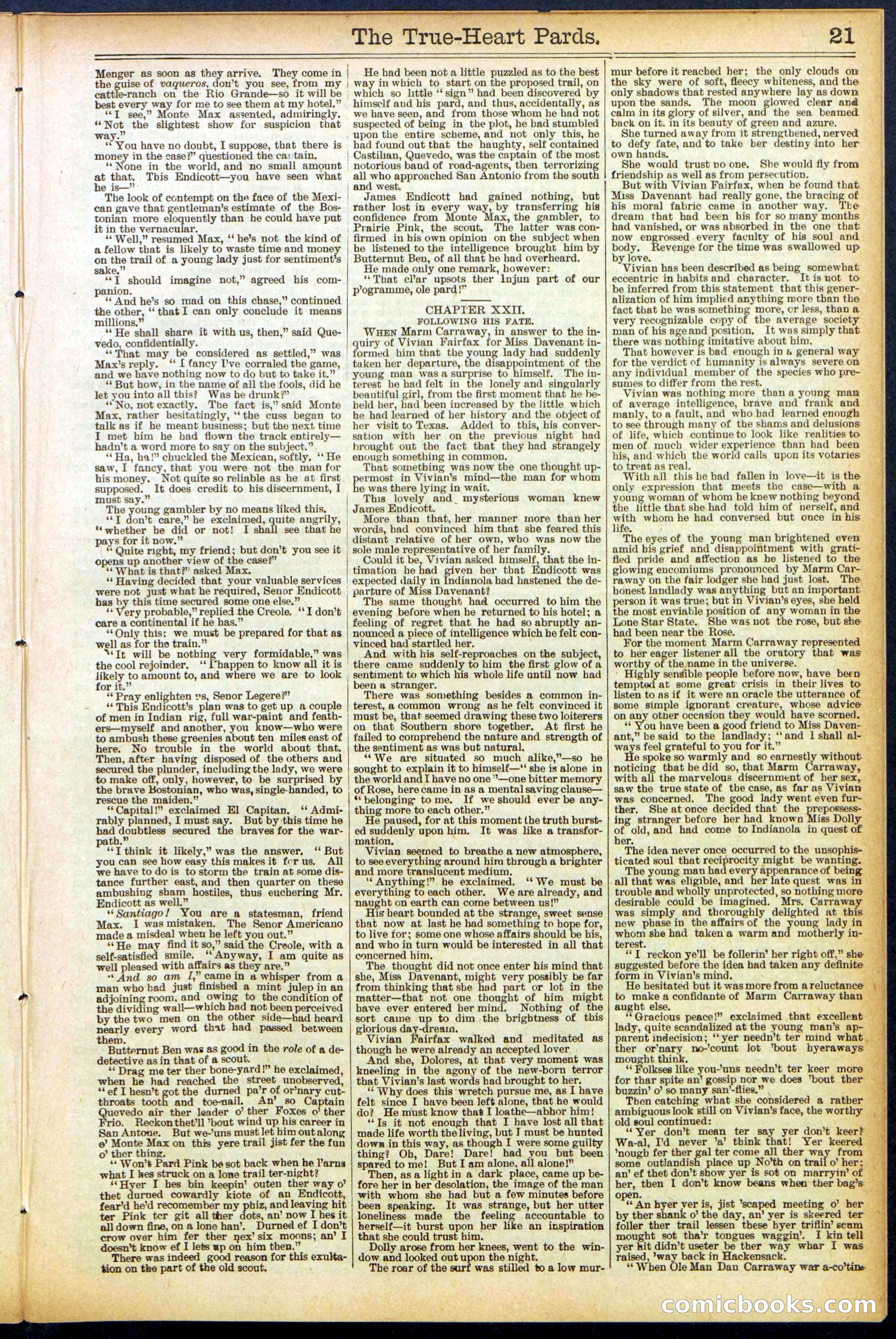 Beadle's New York Dime Library, No. 500 — page 21 of 32