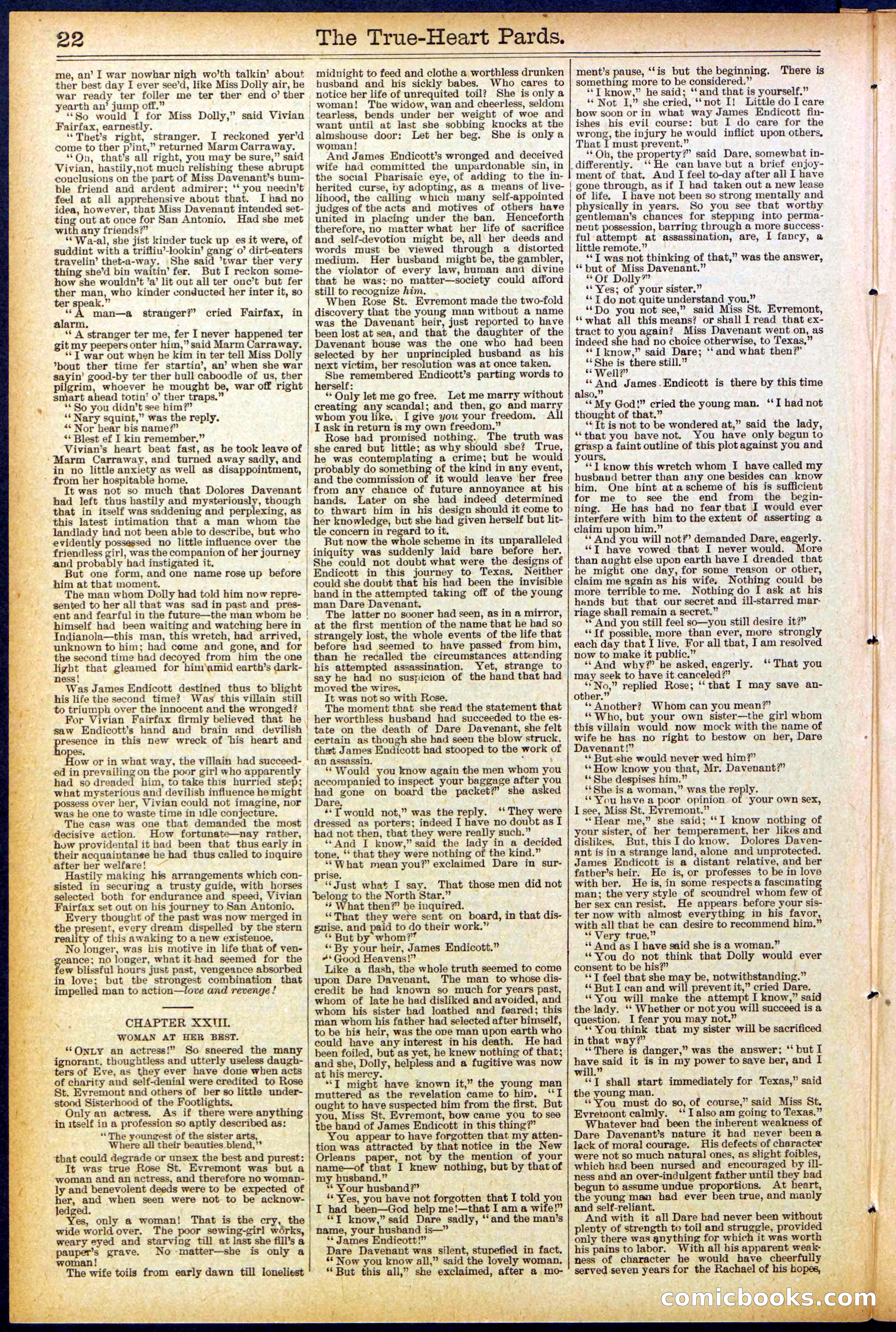 Beadle's New York Dime Library, No. 500 — page 22 of 32