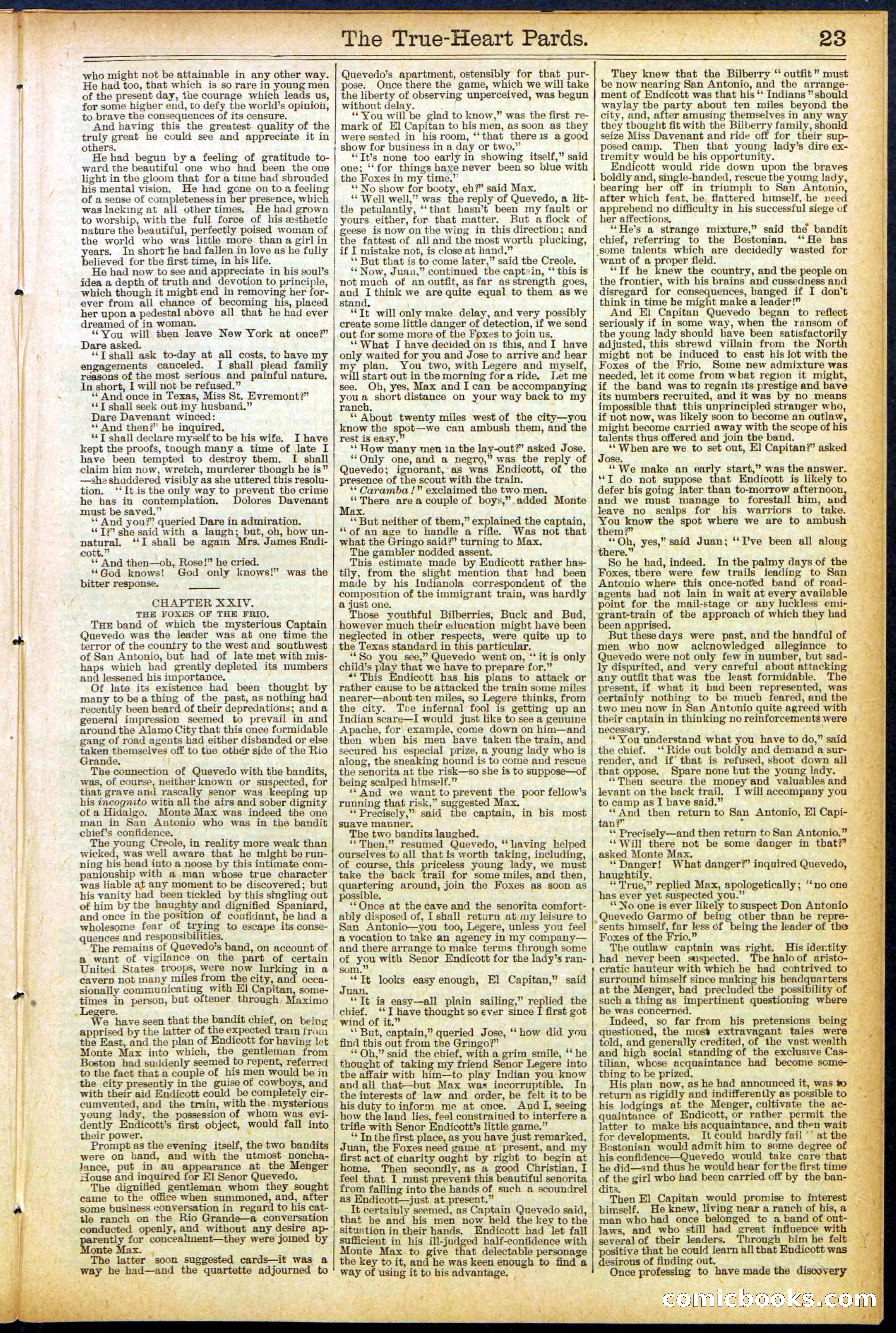 Beadle's New York Dime Library, No. 500 — page 23 of 32