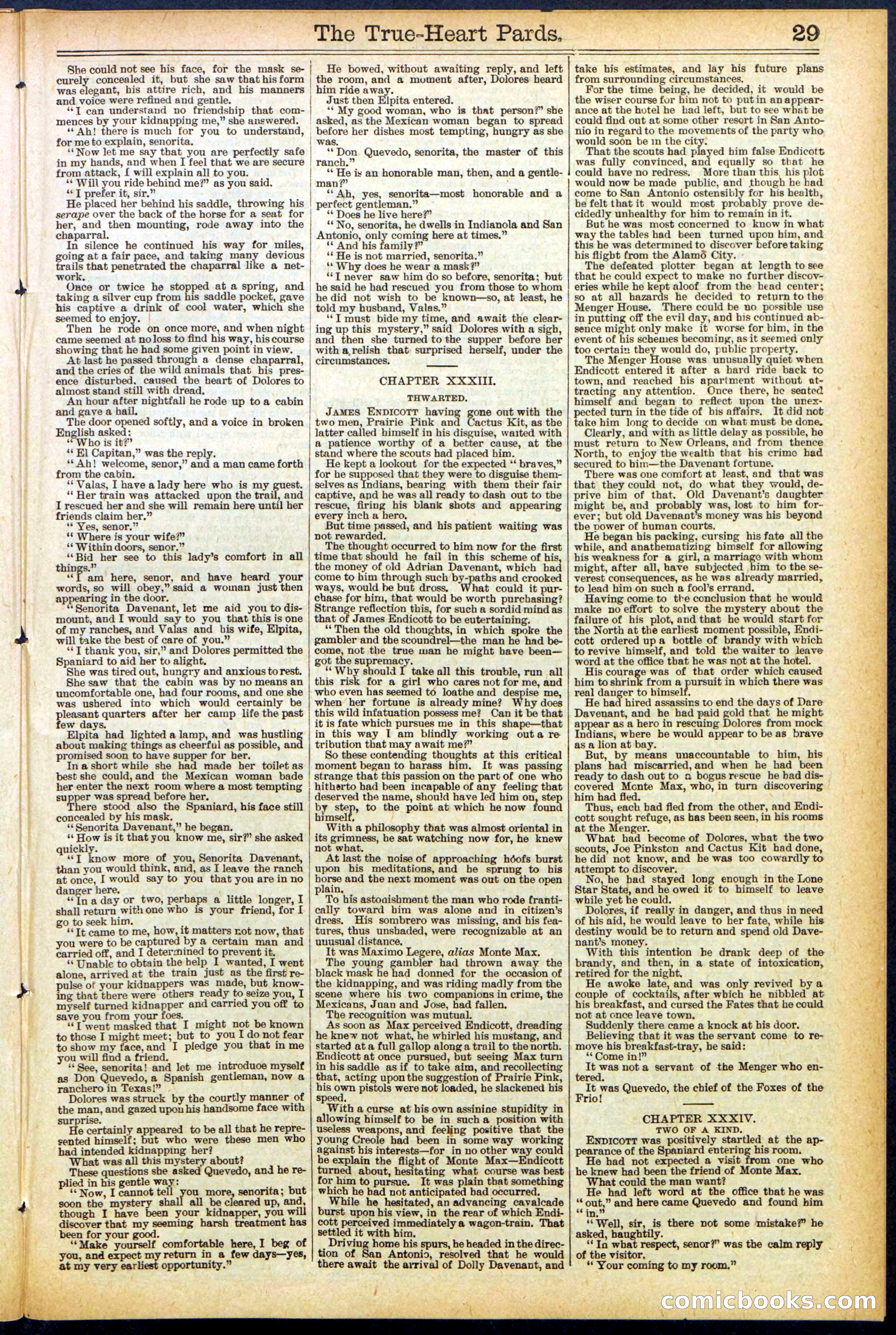 Beadle's New York Dime Library, No. 500 — page 29 of 32