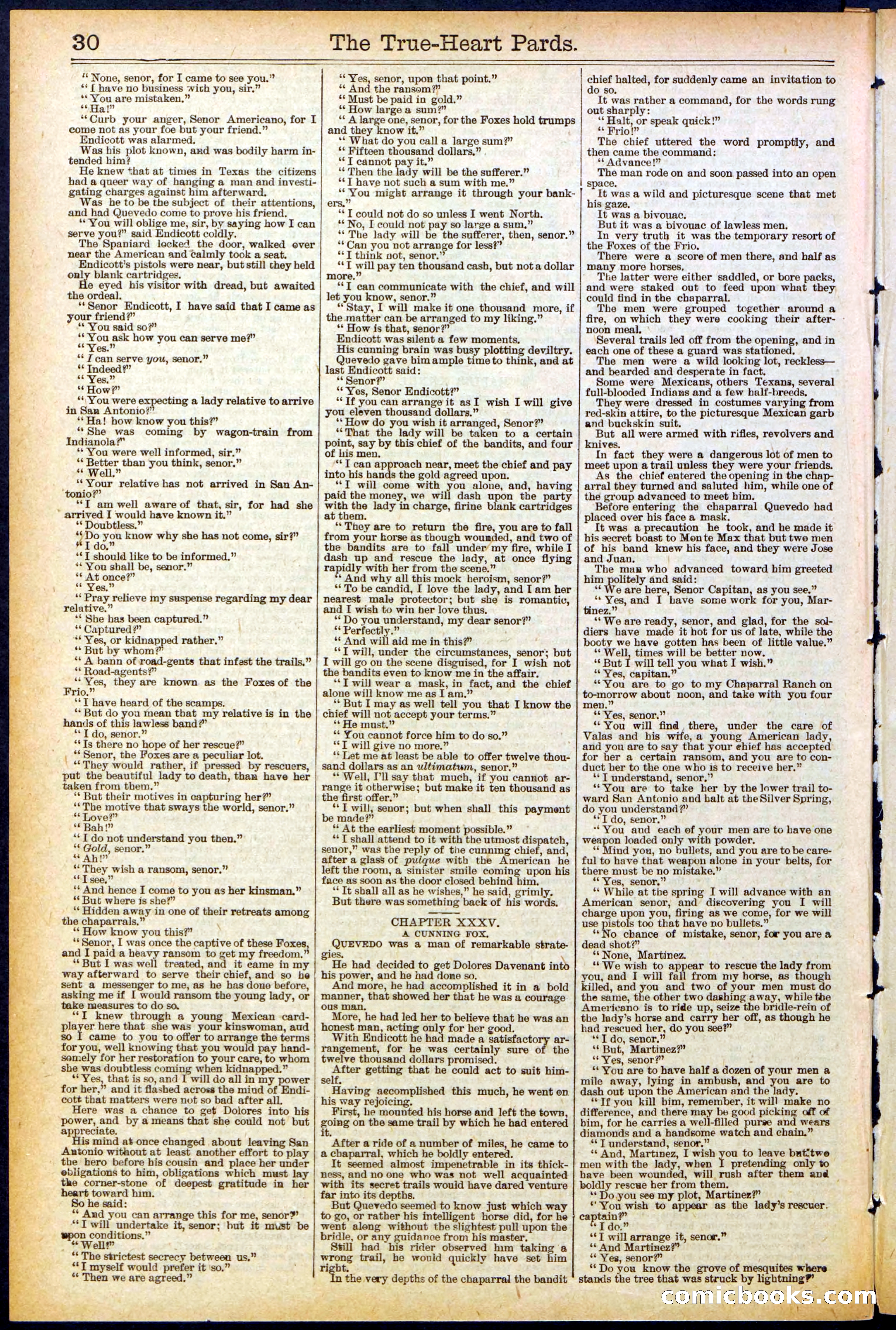 Beadle's New York Dime Library, No. 500 — page 30 of 32