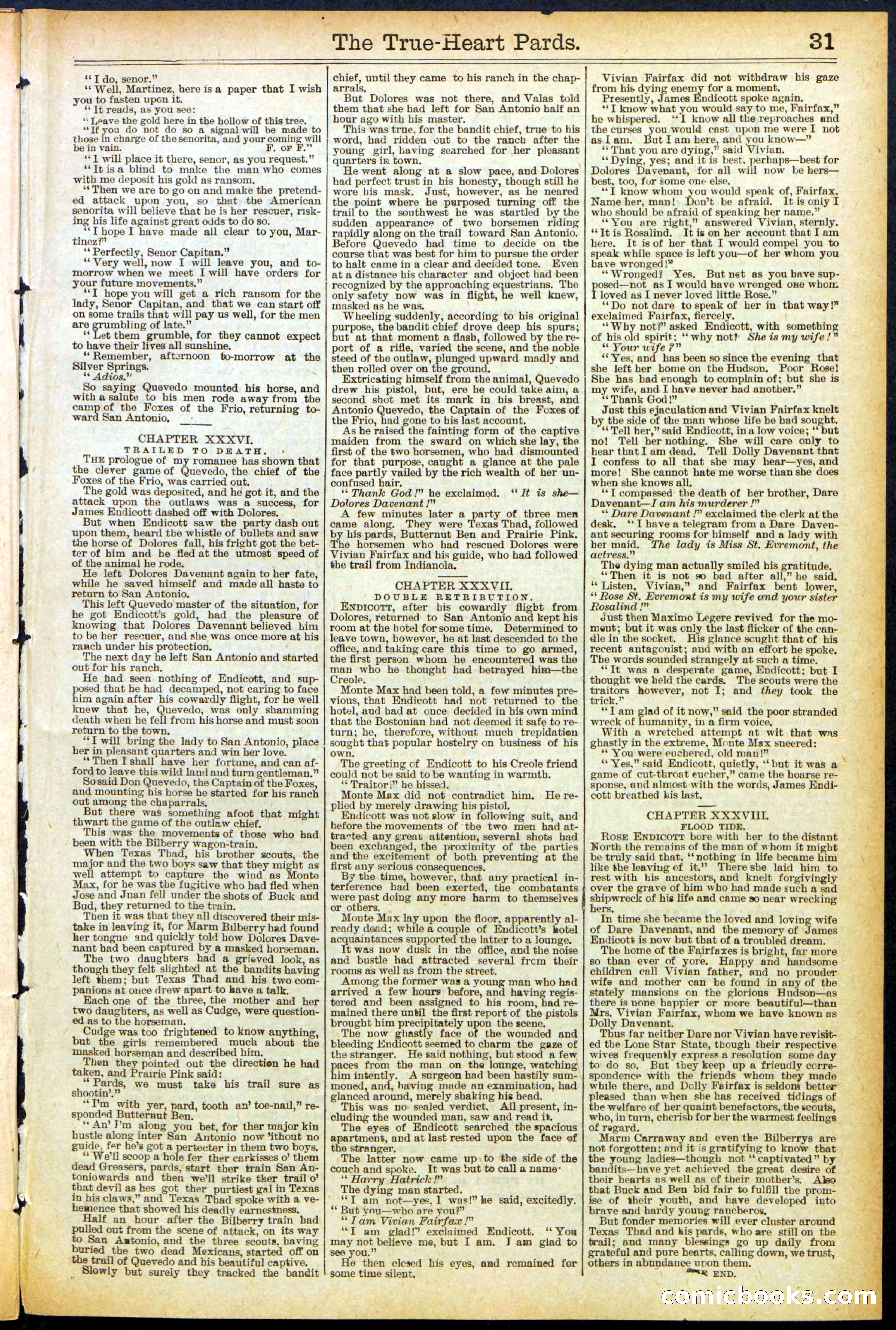 Beadle's New York Dime Library, No. 500 — page 31 of 32