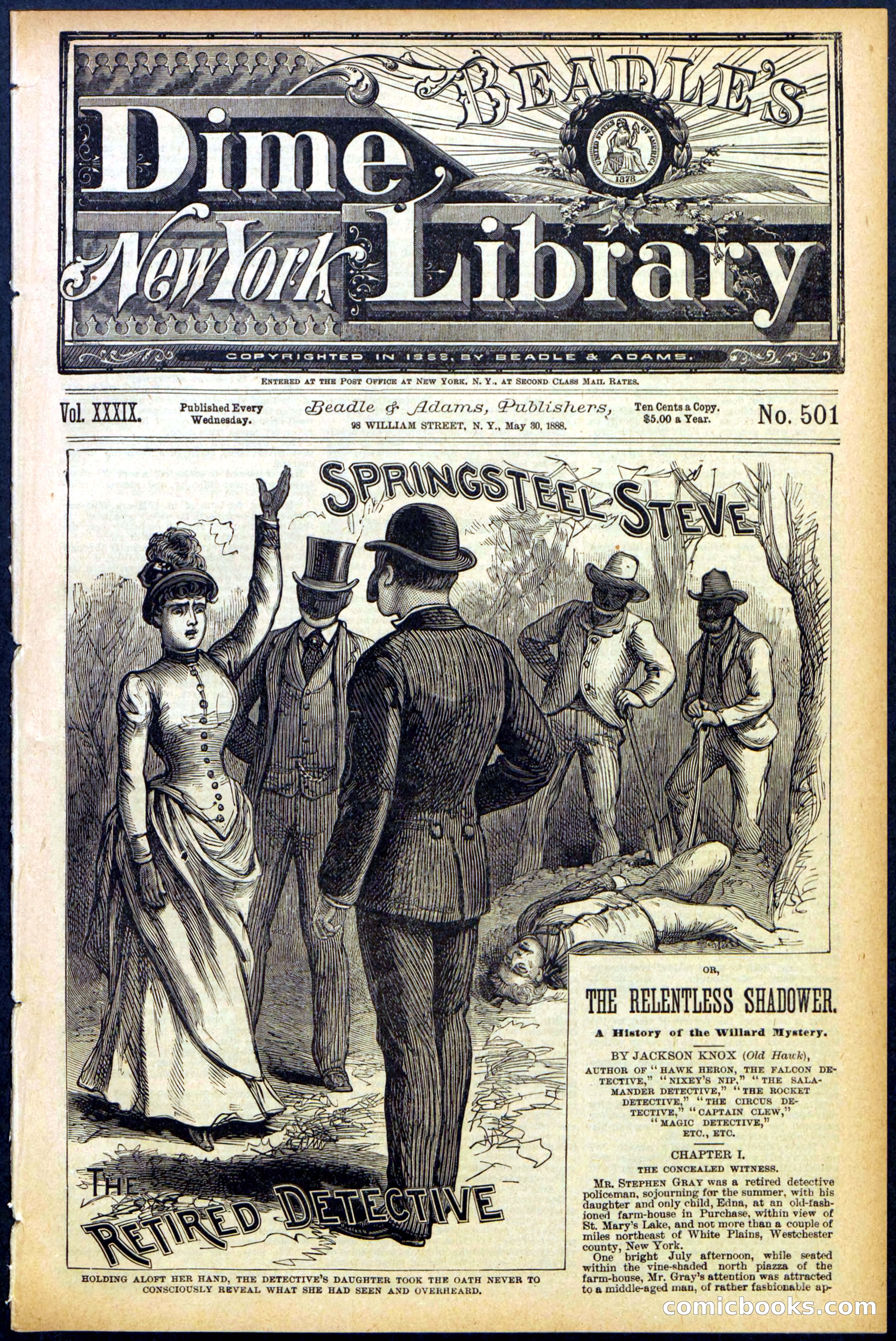 Beadle's New York Dime Library No. 501