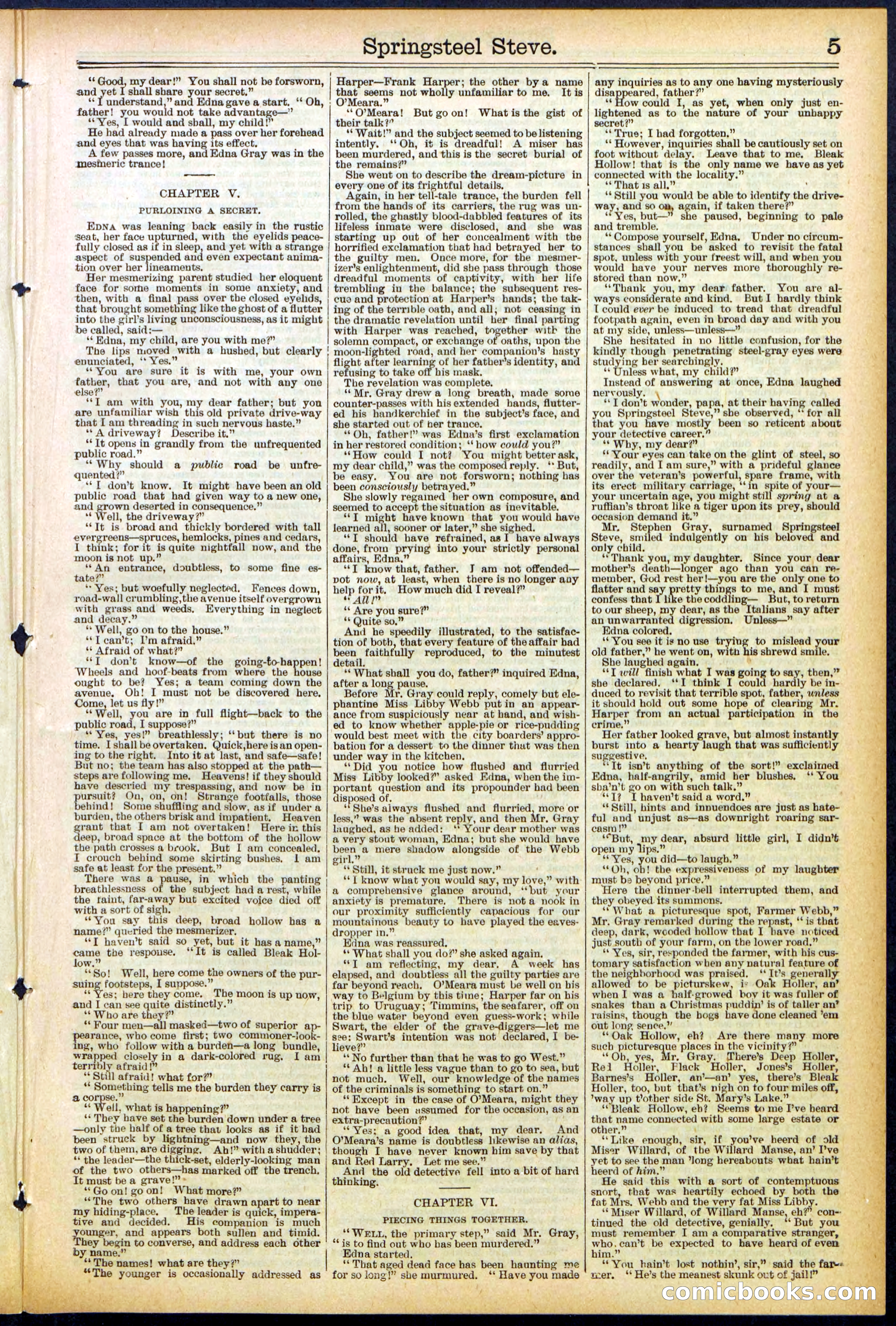Beadle's New York Dime Library No. 501 — page 5 of 32