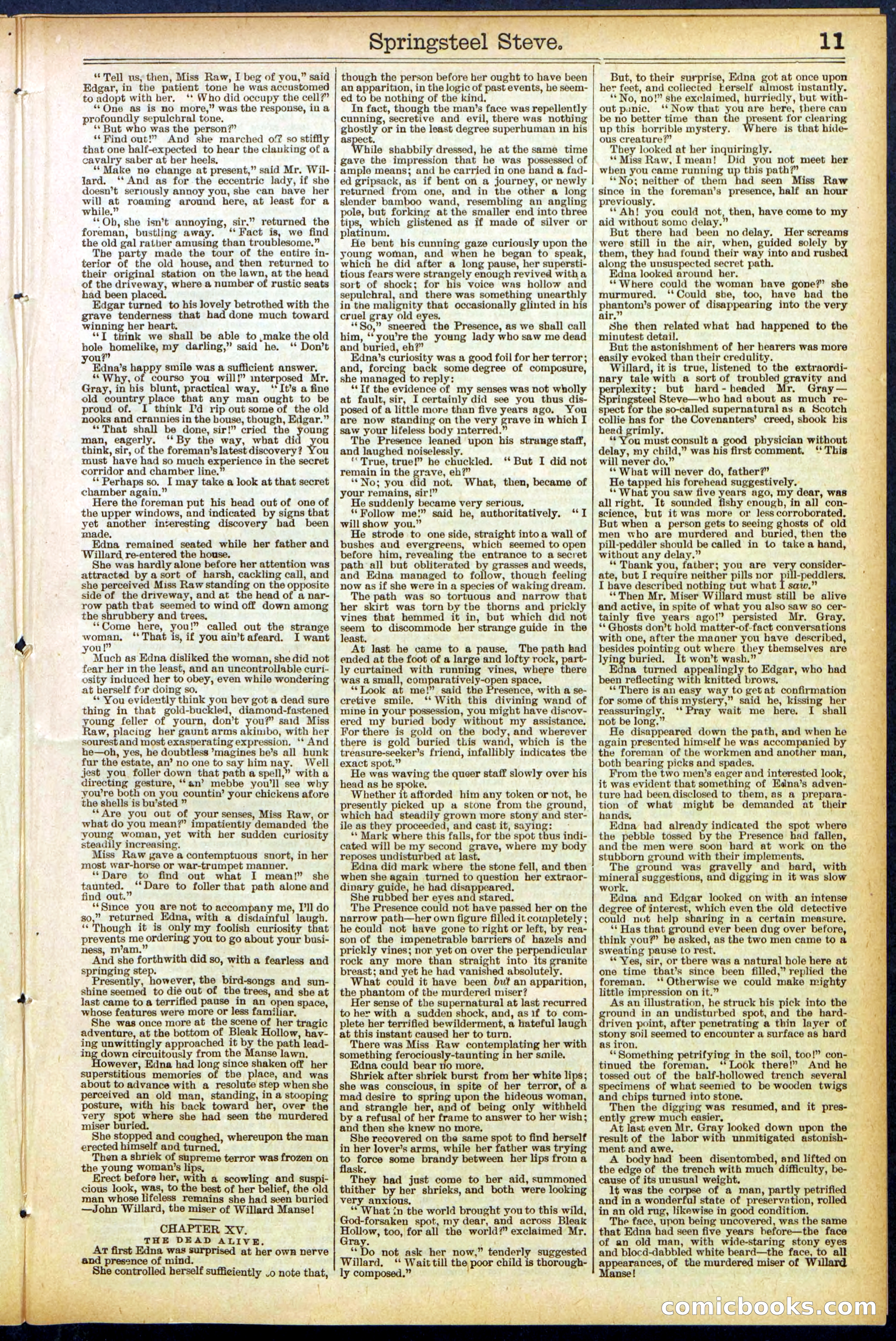 Beadle's New York Dime Library No. 501 — page 11 of 32