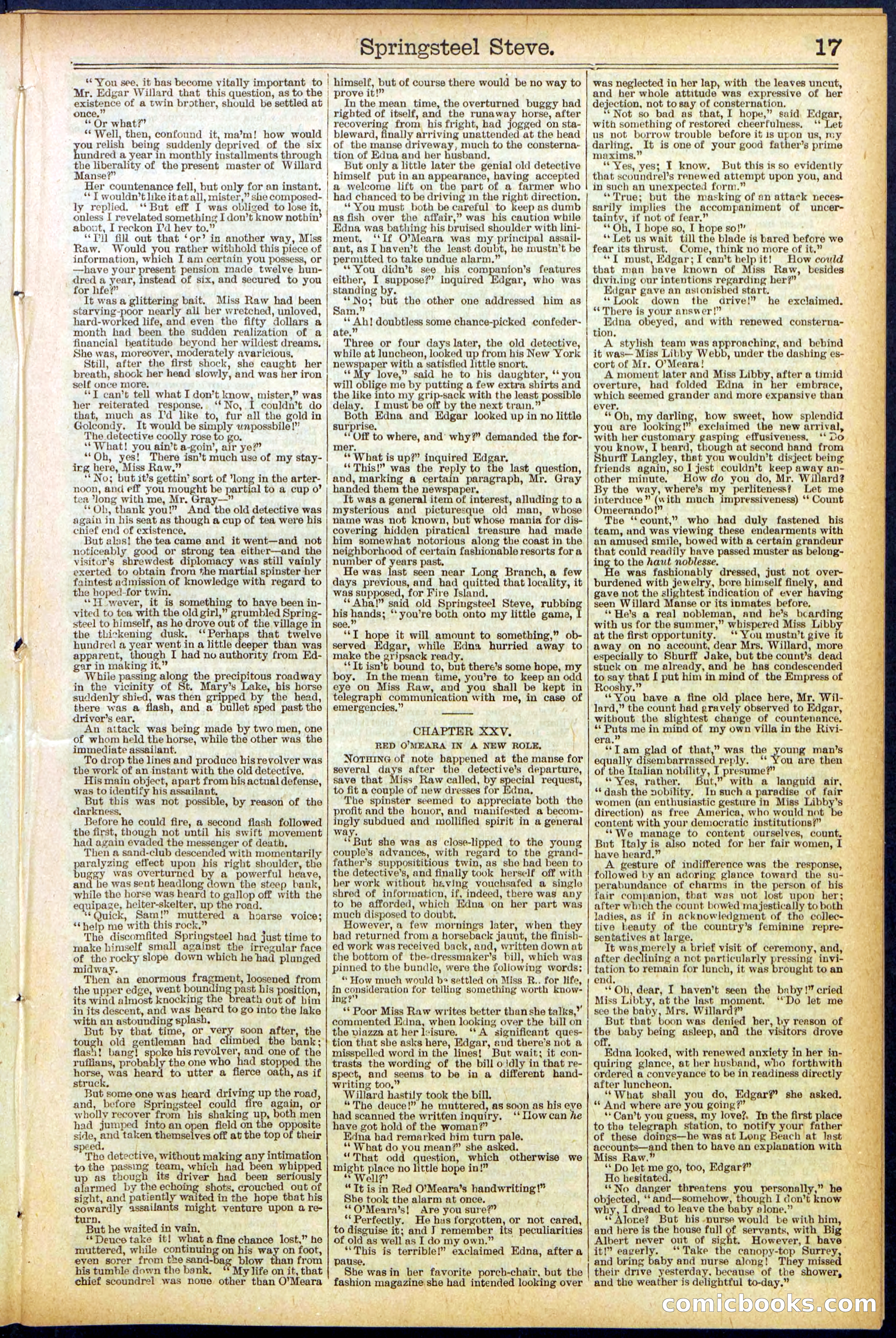Beadle's New York Dime Library No. 501 — page 17 of 32