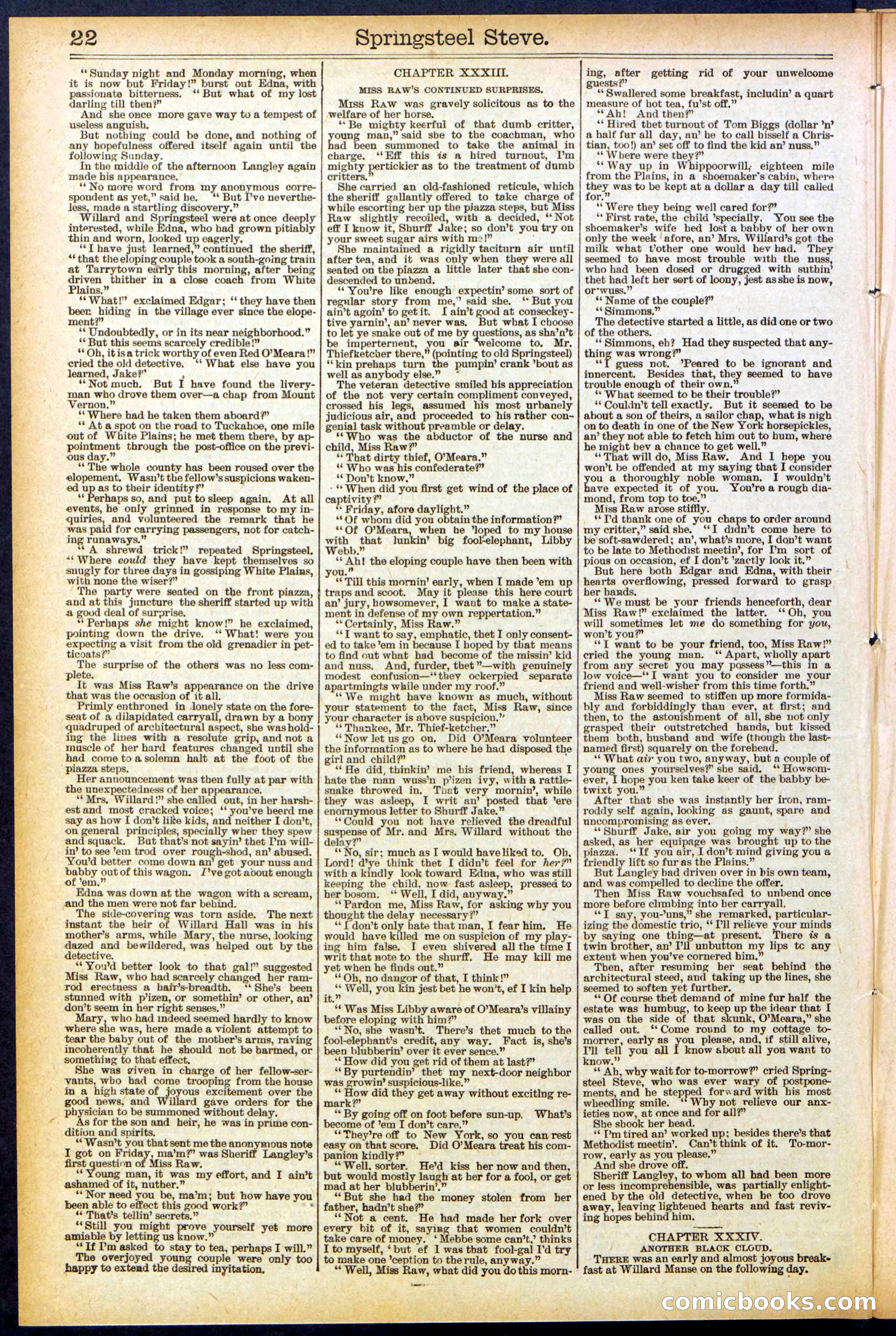 Beadle's New York Dime Library No. 501 — page 22 of 32