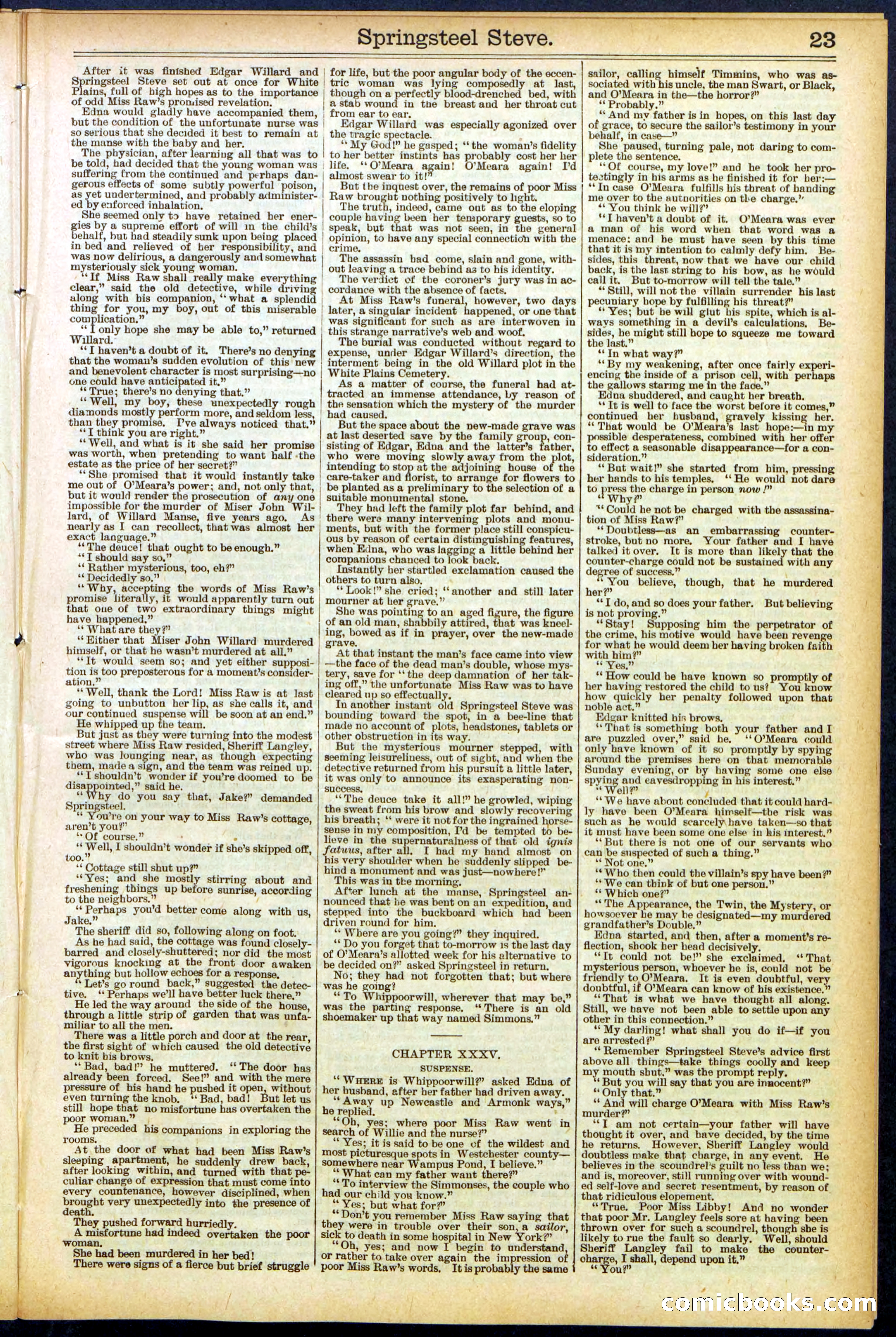 Beadle's New York Dime Library No. 501 — page 23 of 32