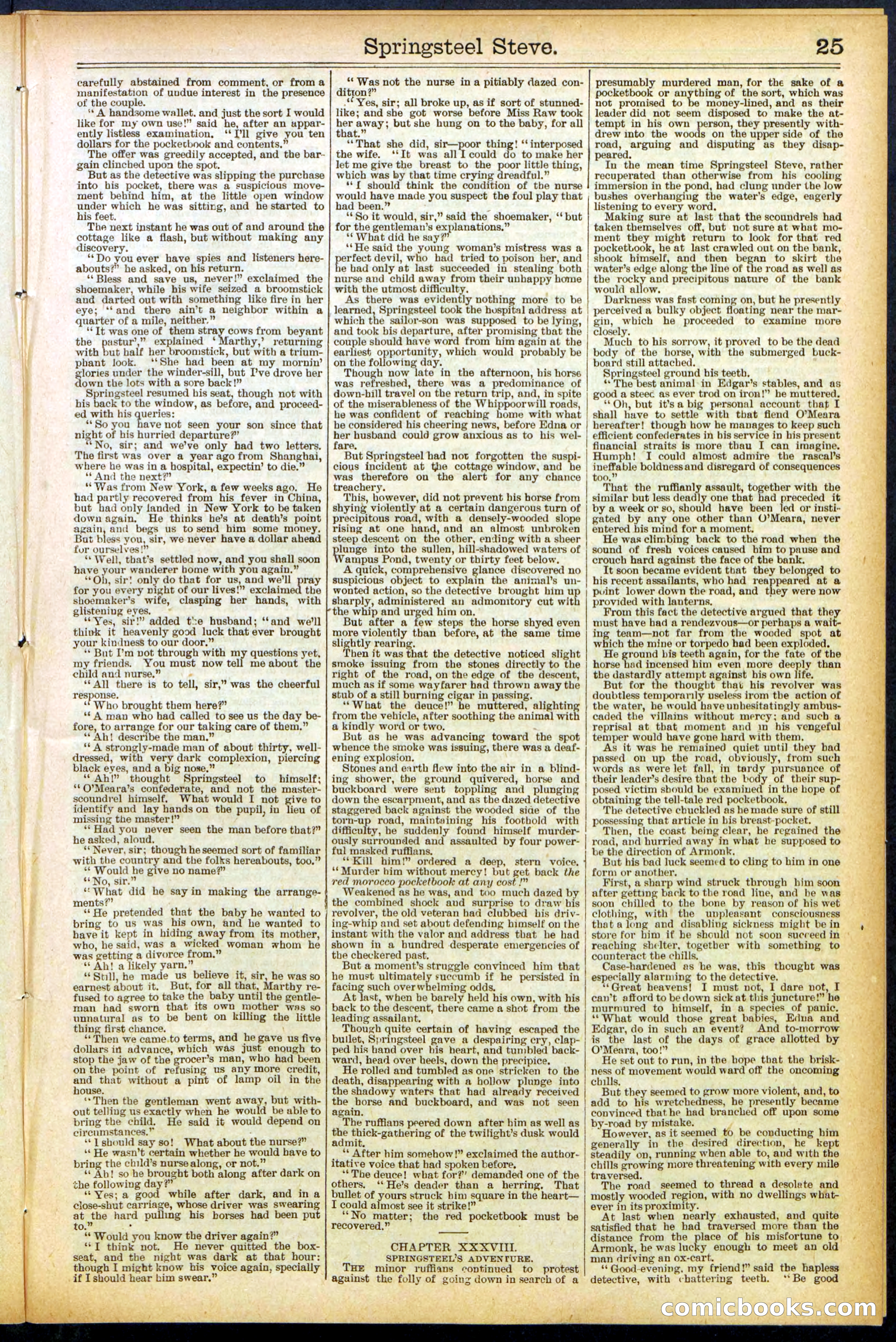 Beadle's New York Dime Library No. 501 — page 25 of 32
