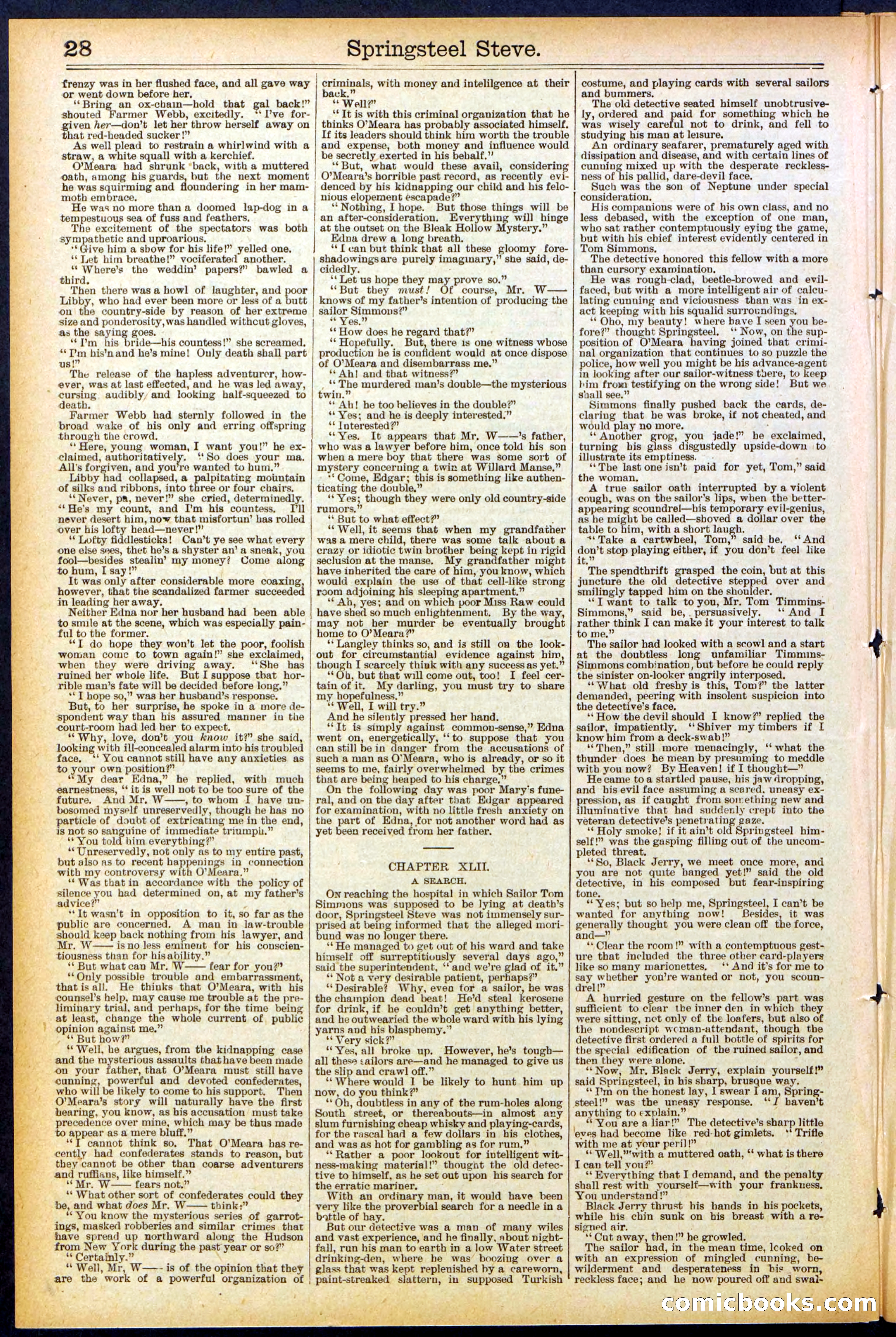 Beadle's New York Dime Library No. 501 — page 28 of 32