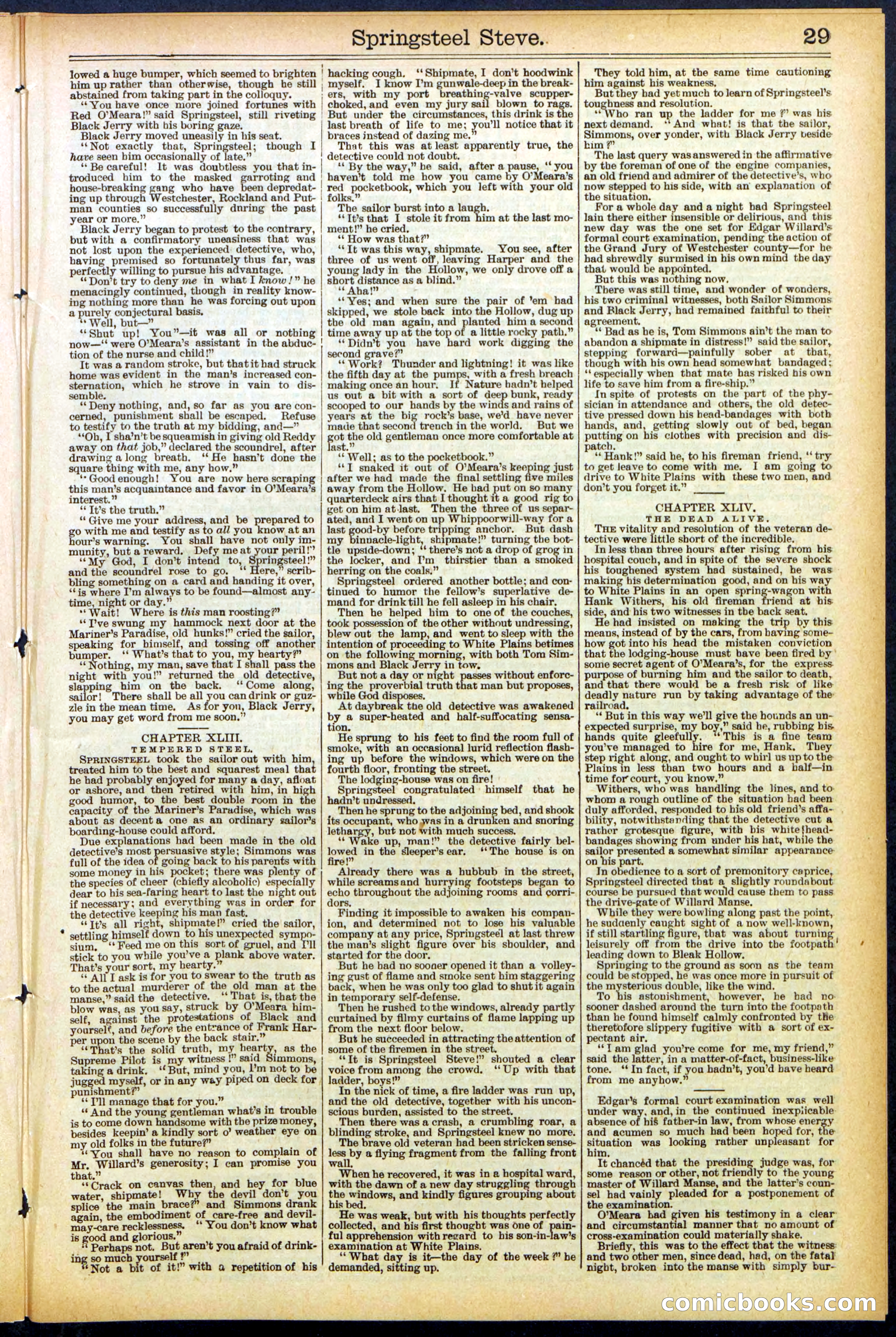 Beadle's New York Dime Library No. 501 — page 29 of 32